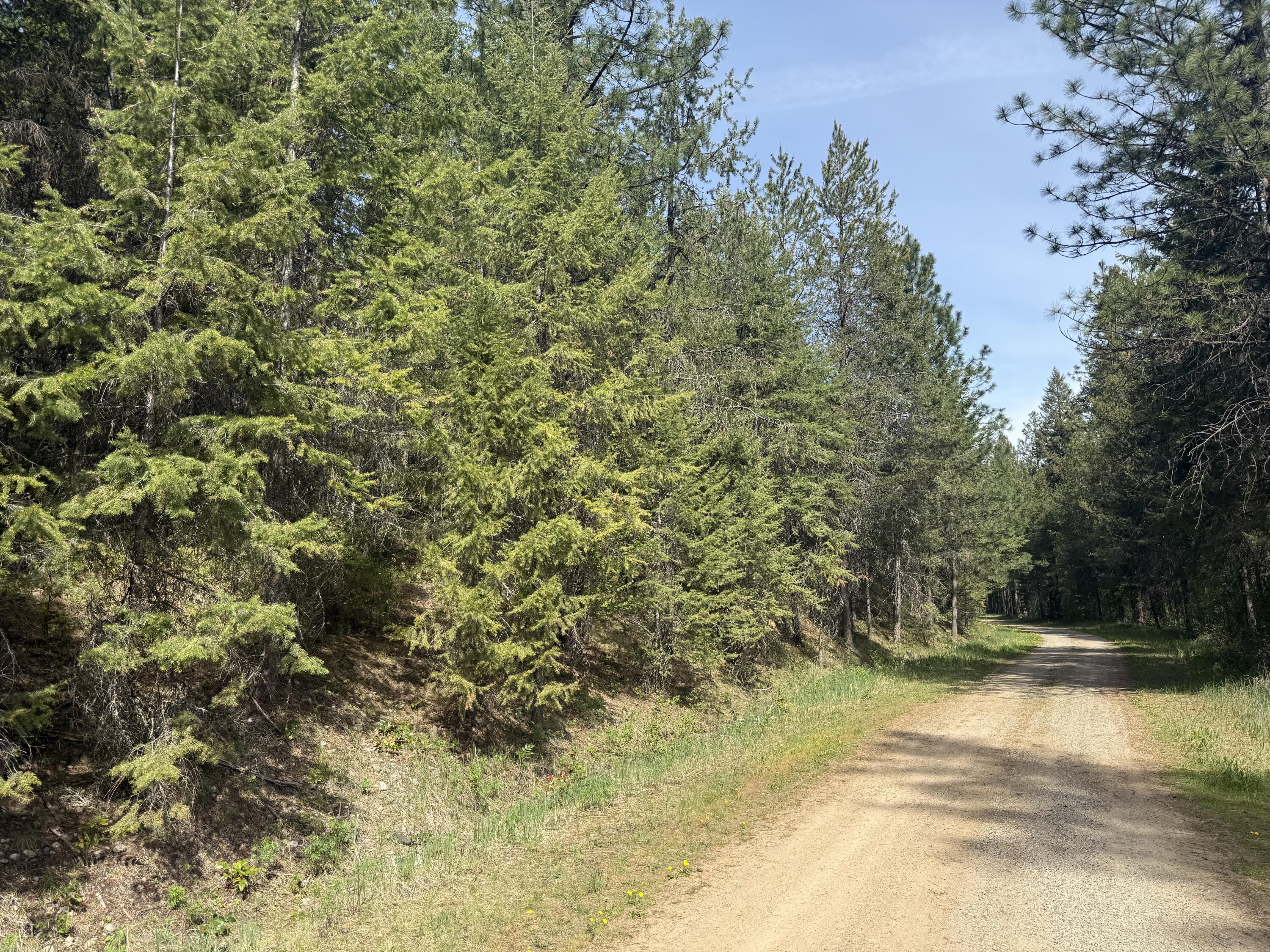 
                        Property photograph at
                        67 FIRST THOUGHT LOOP
                      