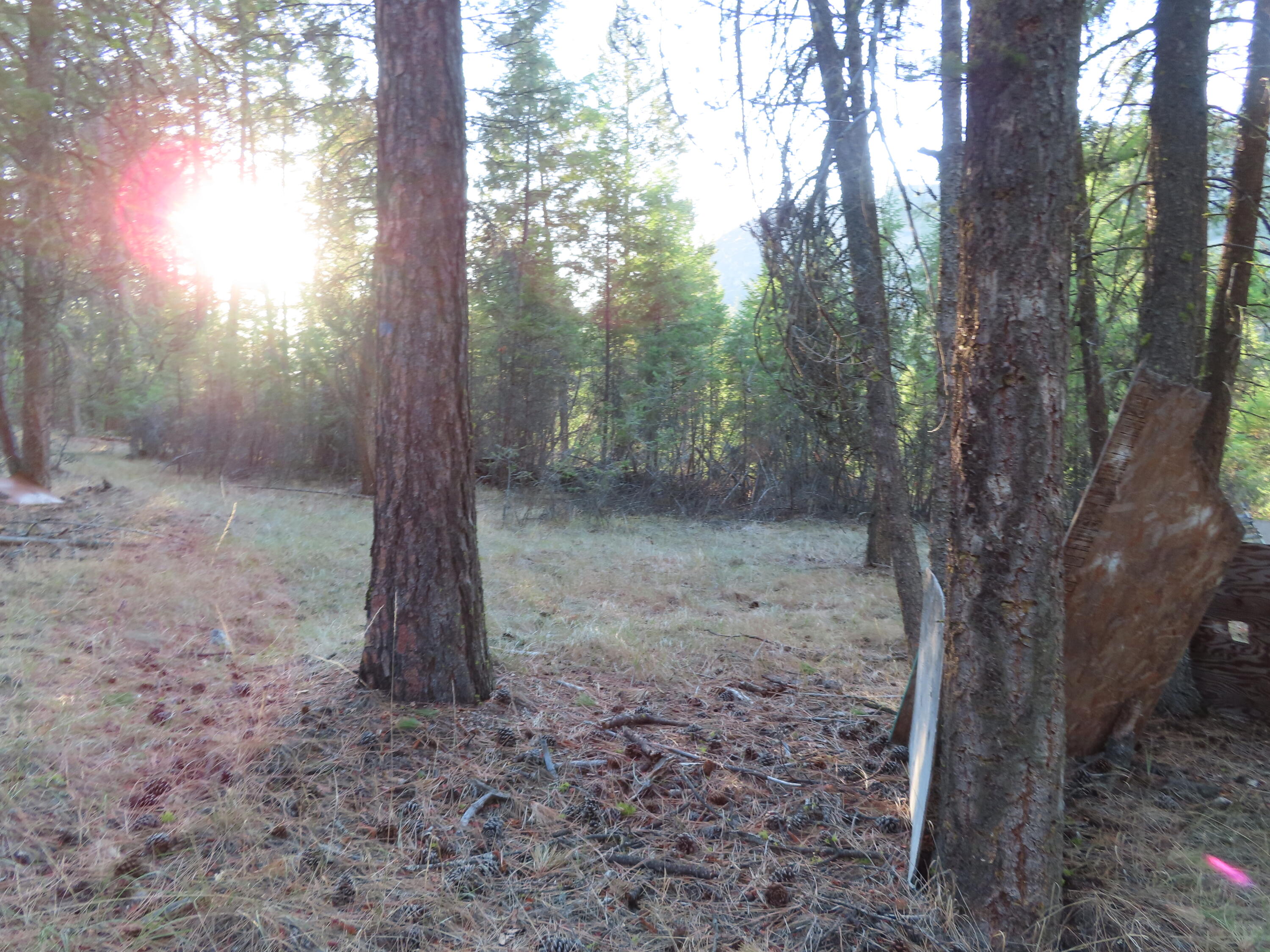 
                        Property photograph at
                        TBD TORODA CREEK RD
                      