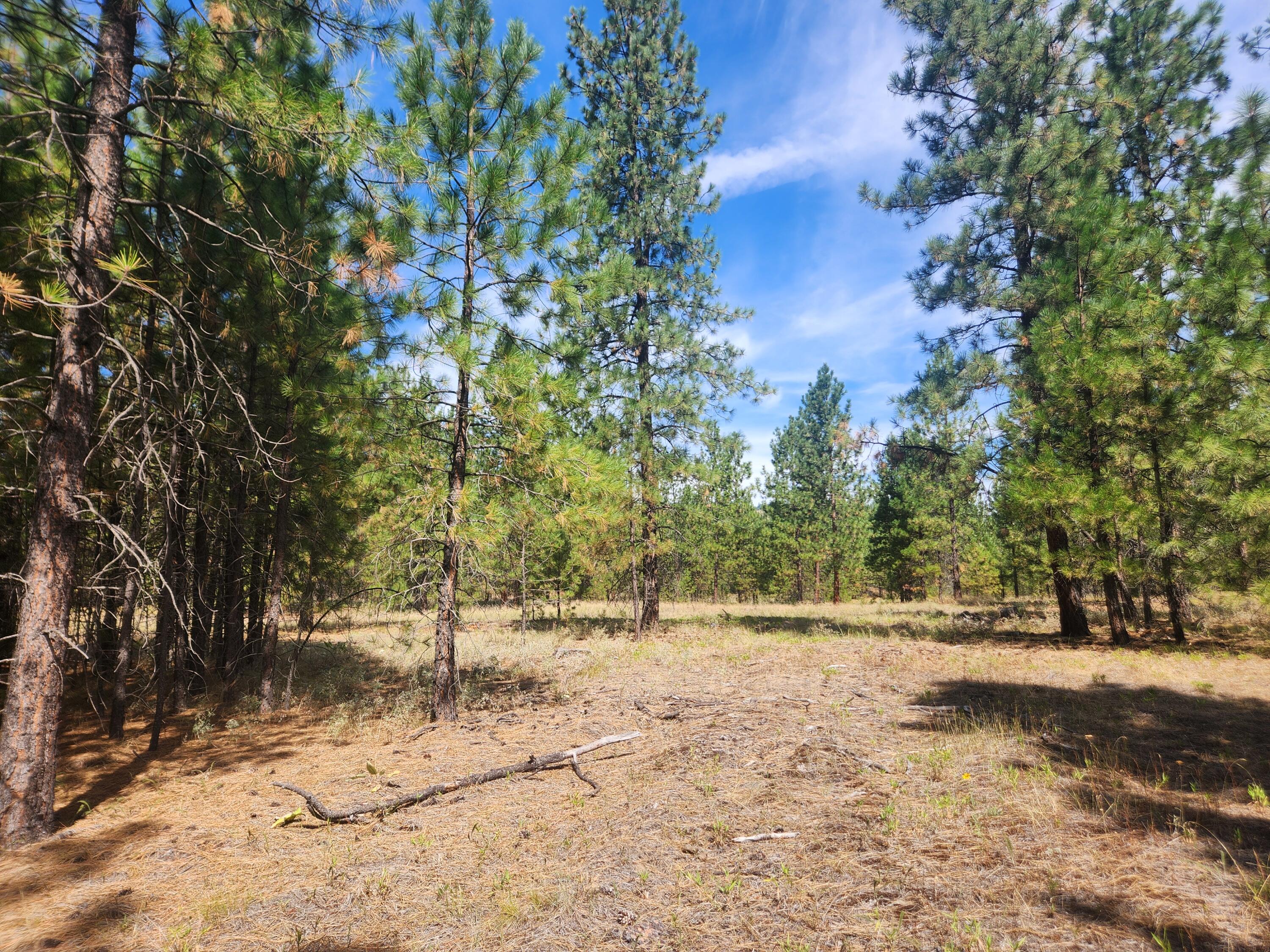 
                        Property photograph at
                        1866 K NORTHPORT FLAT CREEK RD
                      