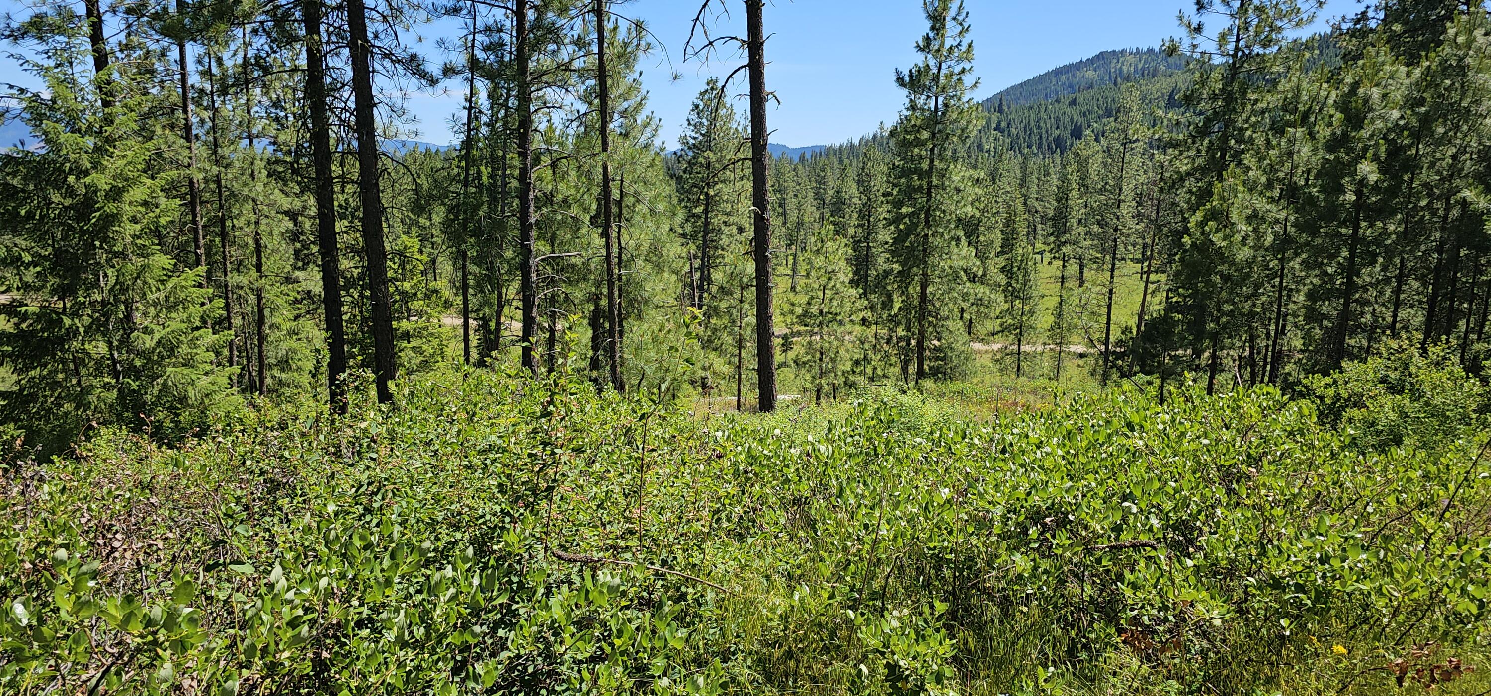 
                        Property photograph at
                        20X LYNX CREEK RD
                      