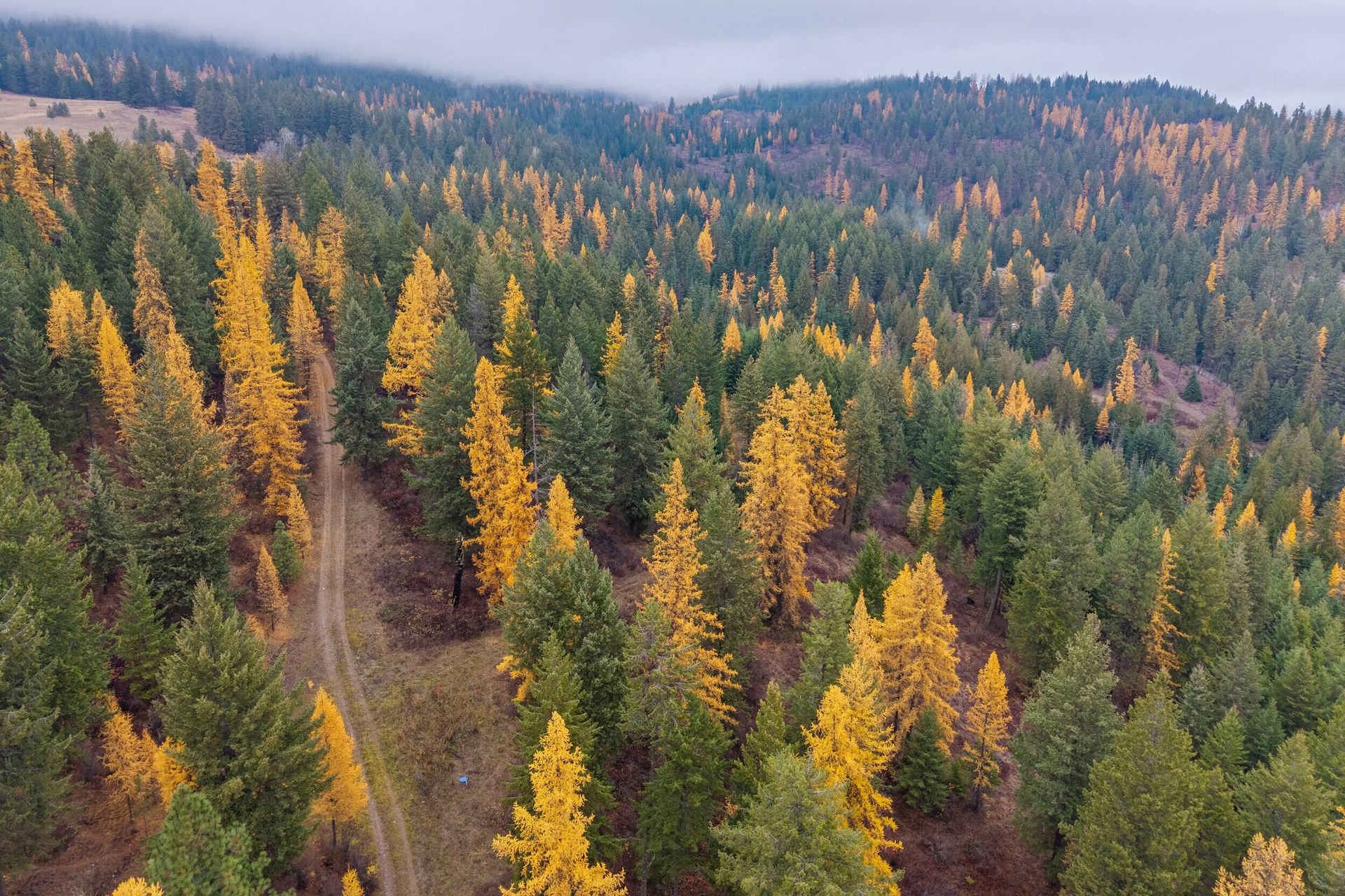 
                        Property photograph at
                        700 DRY GULCH RD
                      
