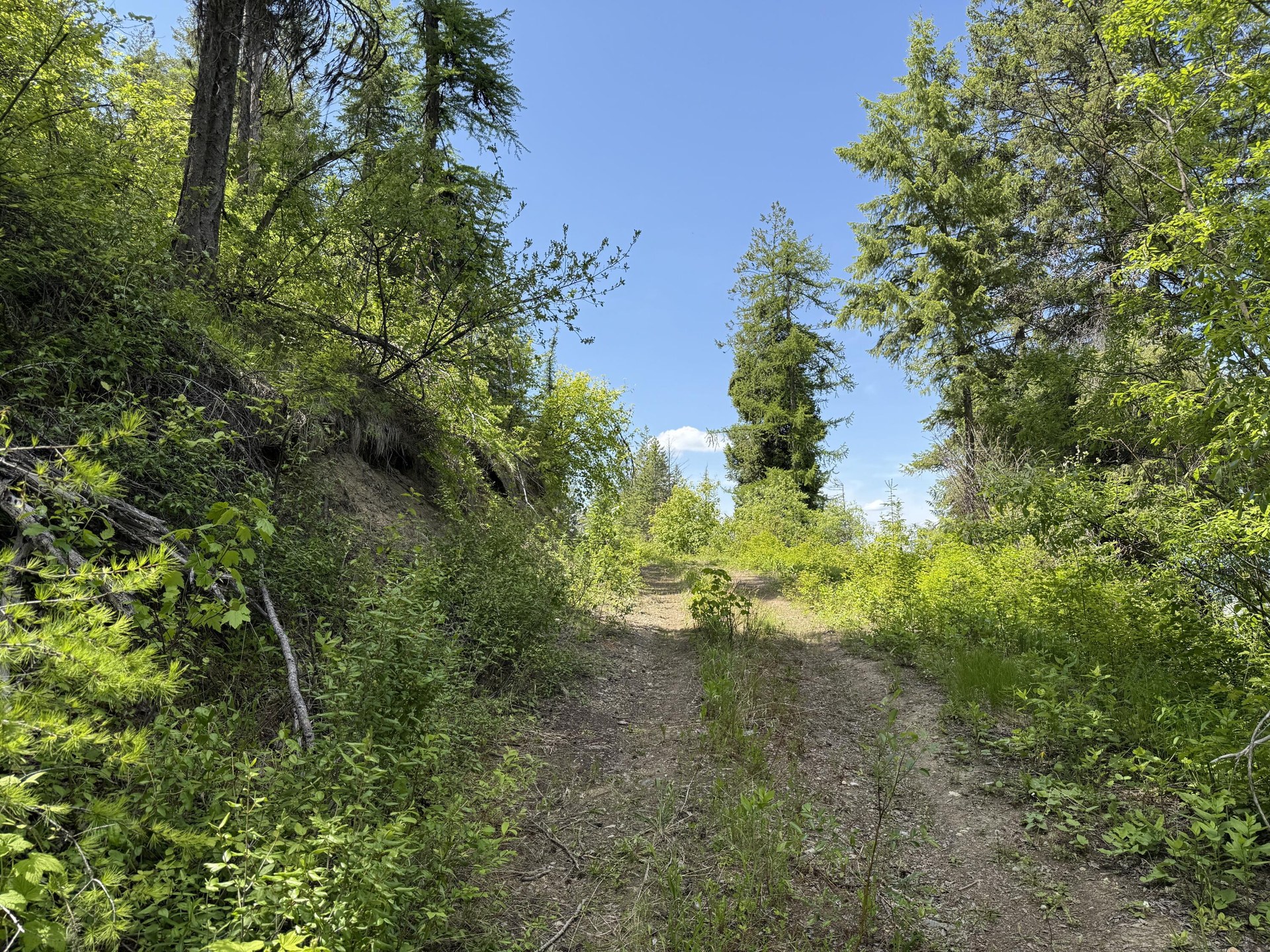 
                        Property photograph at
                        3774-C DAISY MINE RD
                      