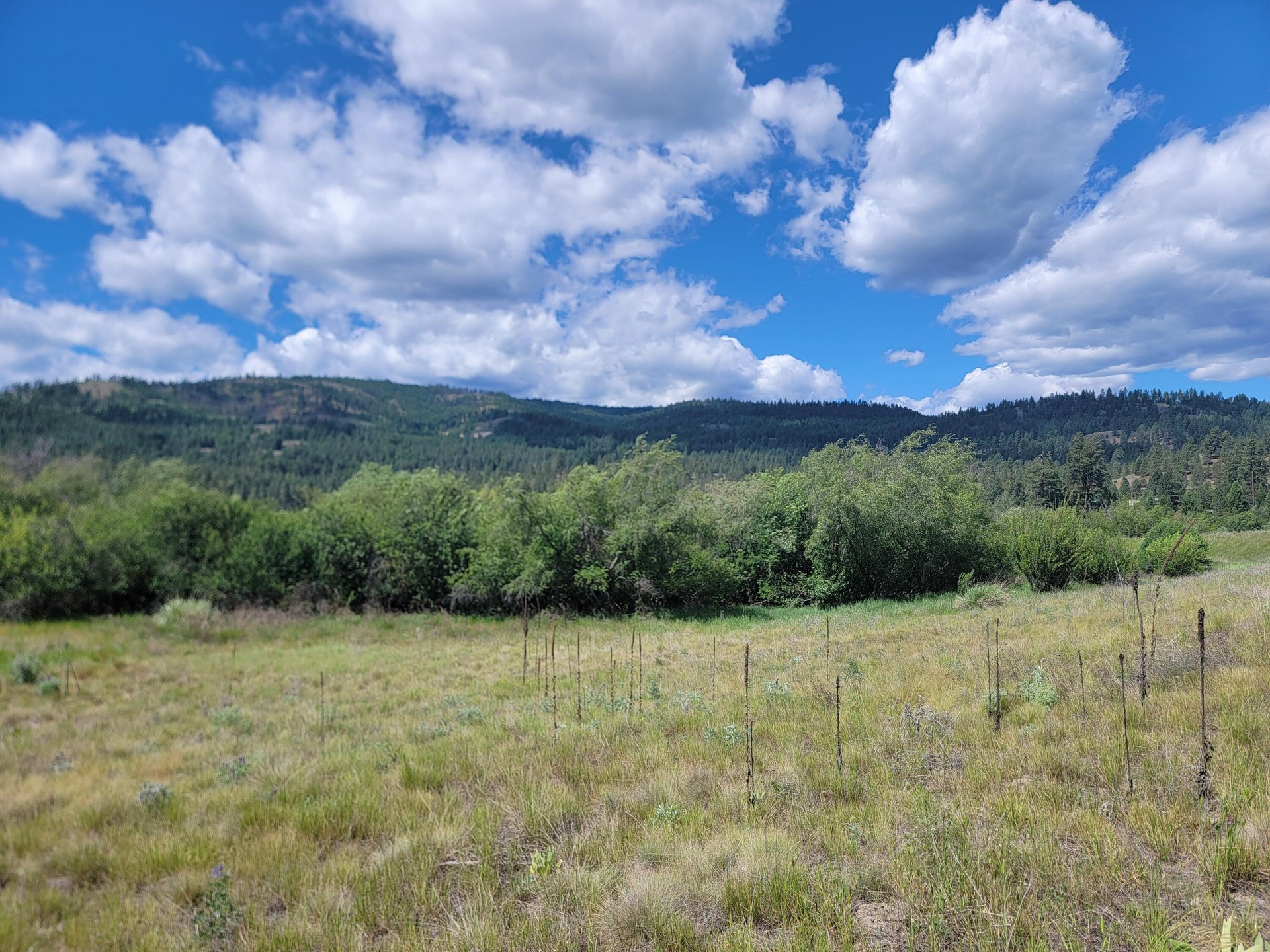 
                        Property photograph at
                        TBD CURLEW DR
                      
