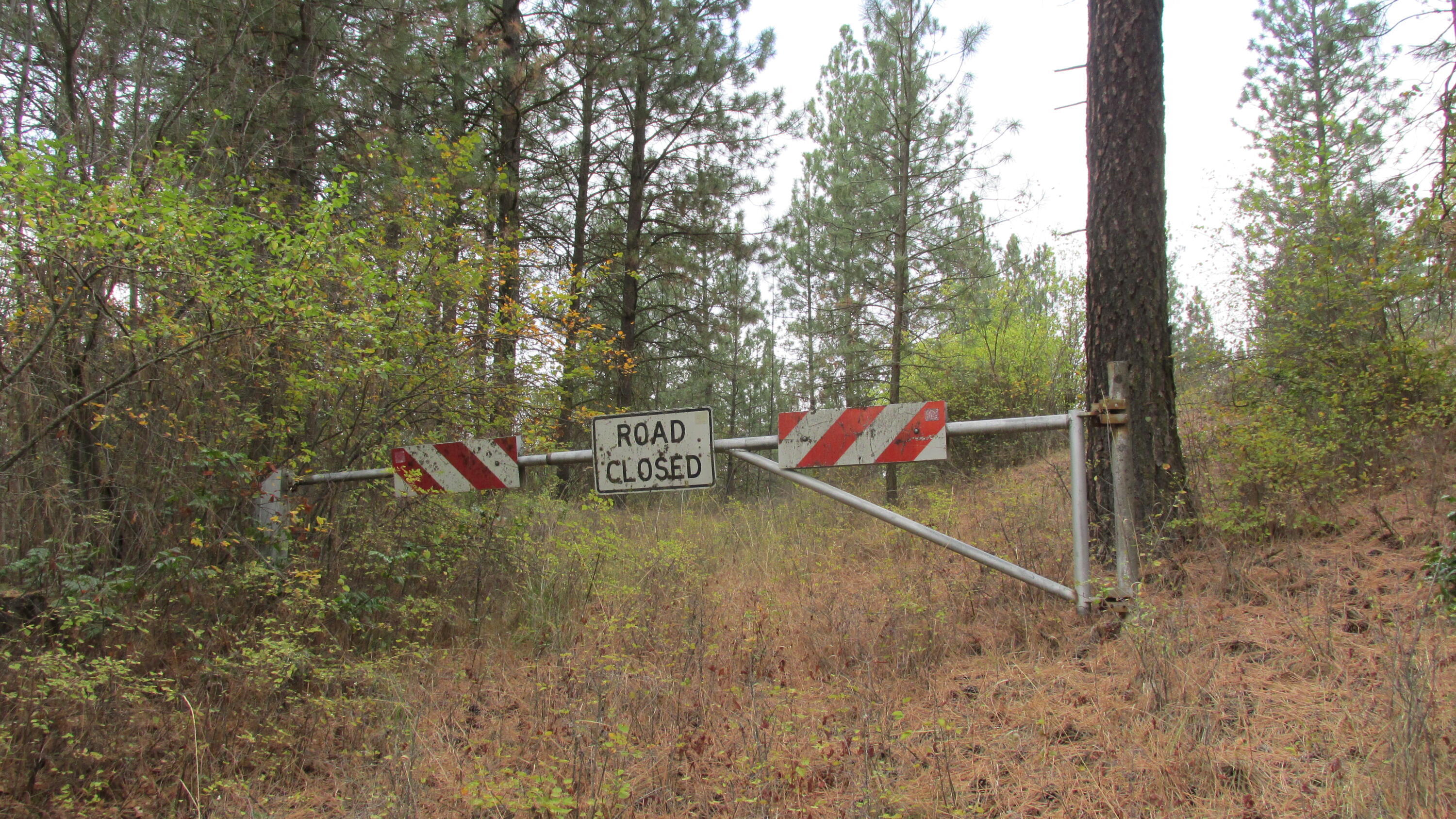 
            Exterior of
            1525 HIGHWAY 395 S
          