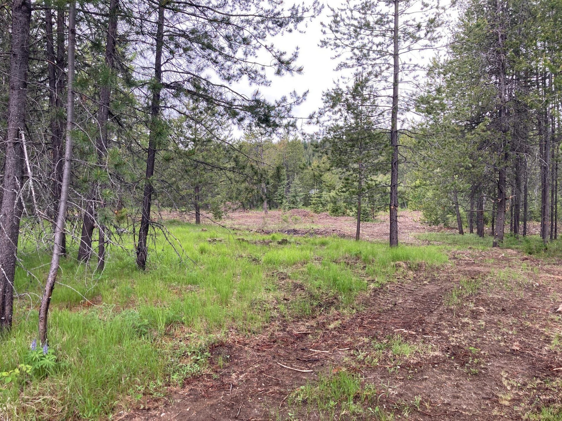 
                        Property photograph at
                        1496 E HWY 20 XX
                      