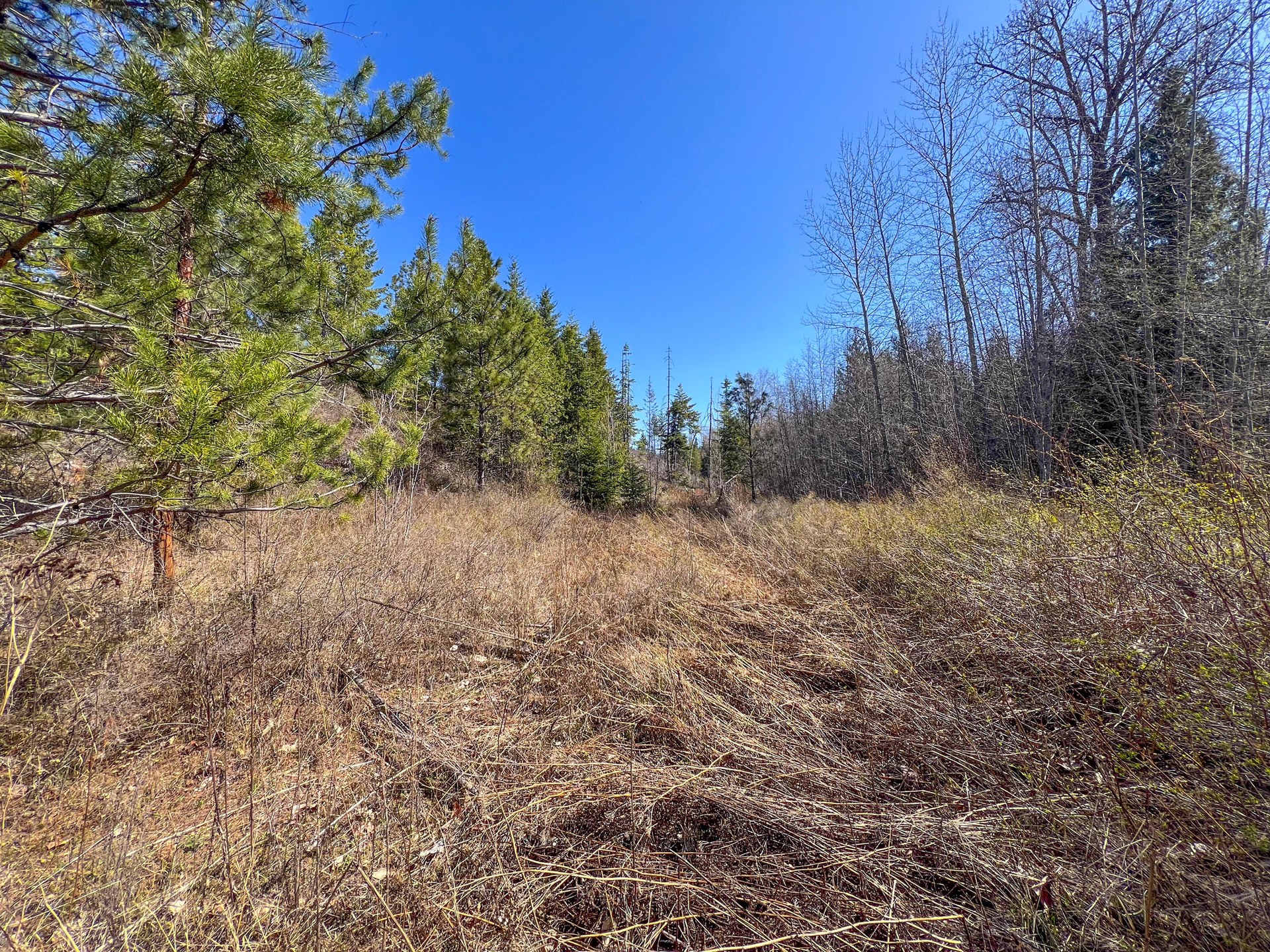 
                        Property photograph at
                        26XX FLOWERY TRAIL RD
                      