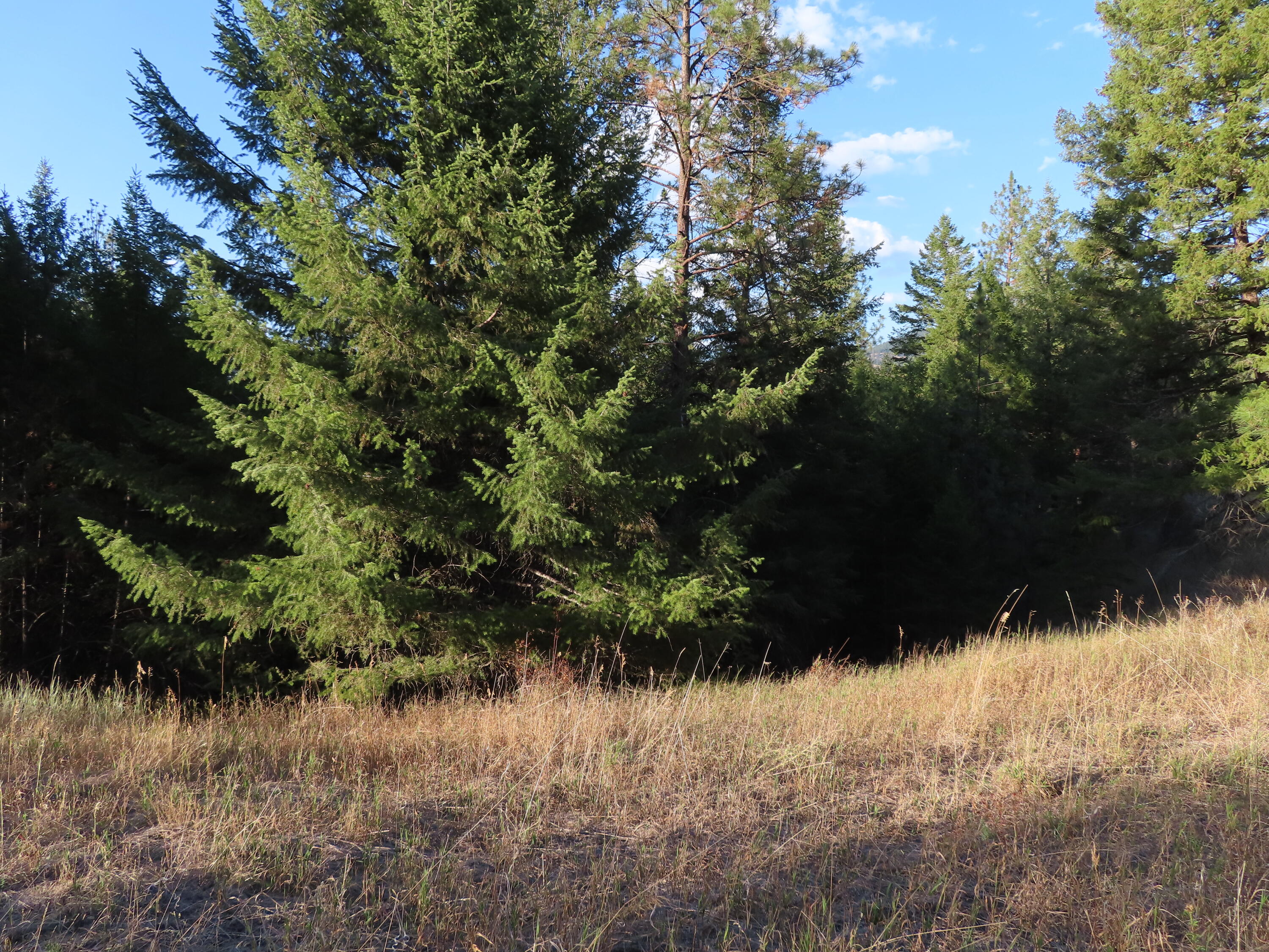 
                        Property photograph at
                        TBD TORODA CREEK RD
                      