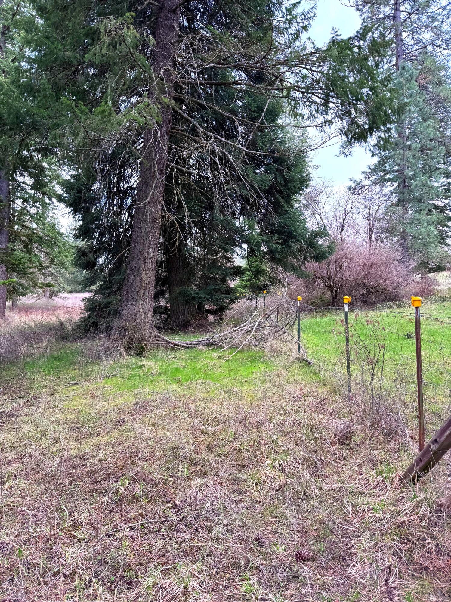 
                        Property photograph at
                        2XXX BLK E ELOIKA LAKE RD
                      