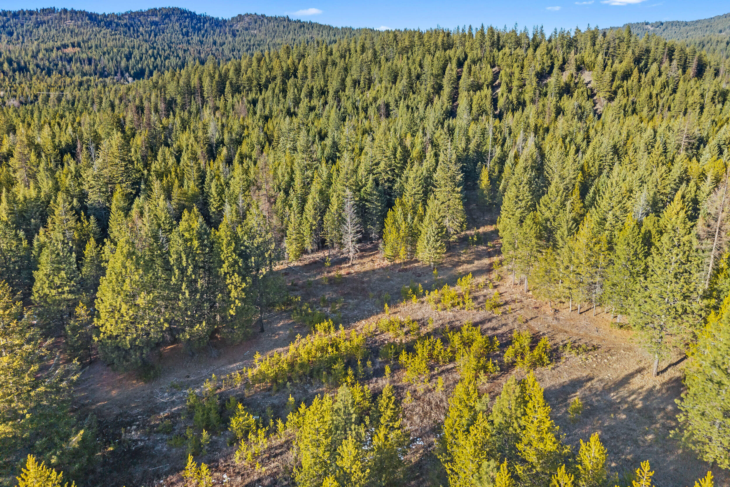 
                        Property photograph at
                        28XX BURNT VALLEY (80AC) RD
                      