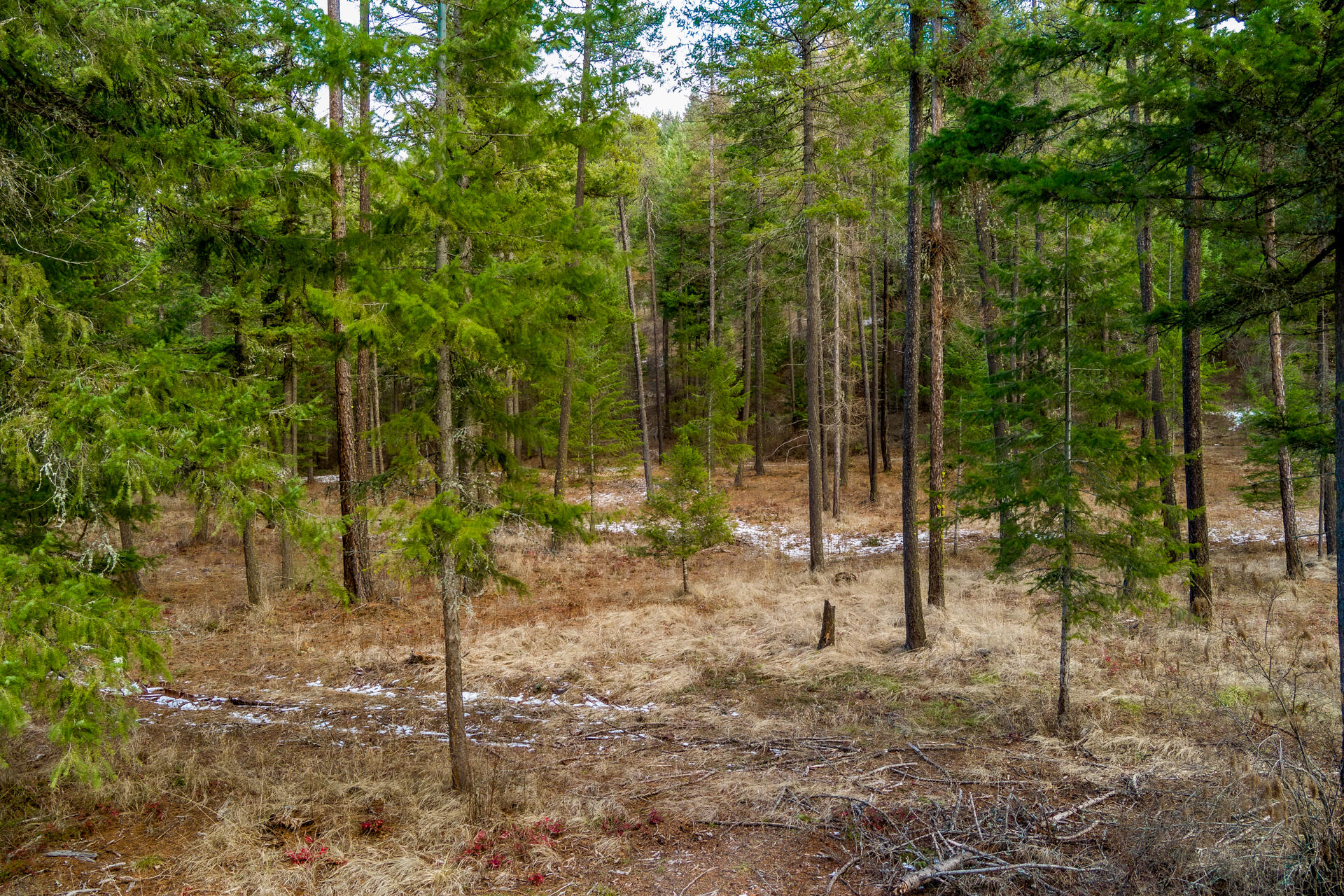
                        Property photograph at
                        2559 UNITED COPPER MINE RD
                      