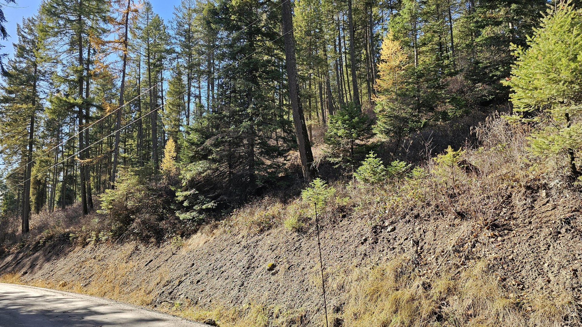 
                        Property photograph at
                        717 B FINLEY GULCH RD
                      