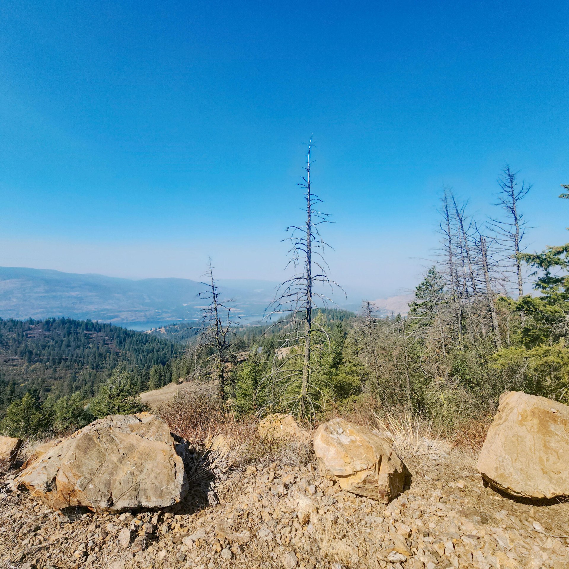 
                        Property photograph at
                        TBD GOLD HILL LOT C RD
                      