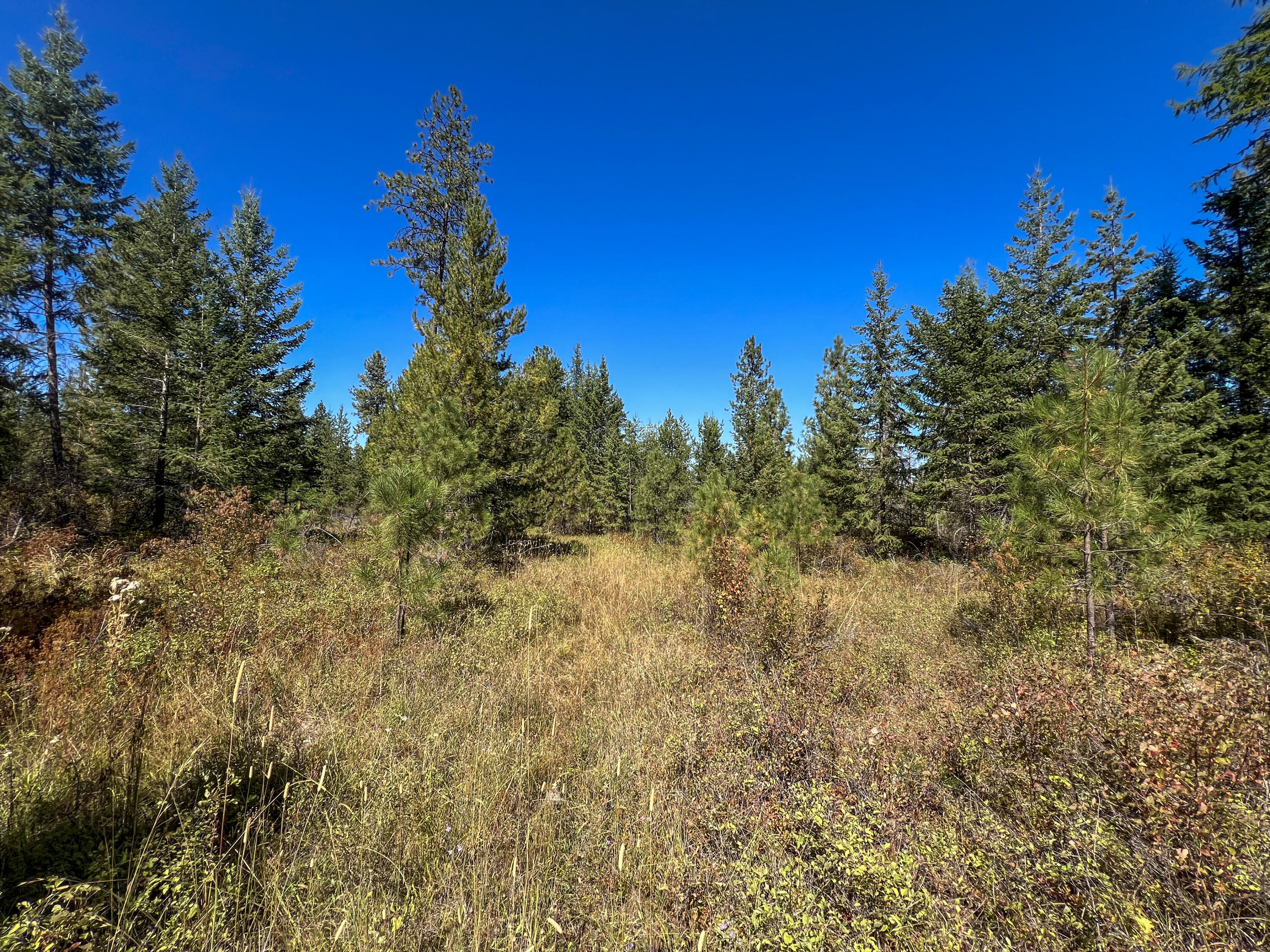 
                        Property photograph at
                        52XX LOT 5 S SWENSON RD
                      
