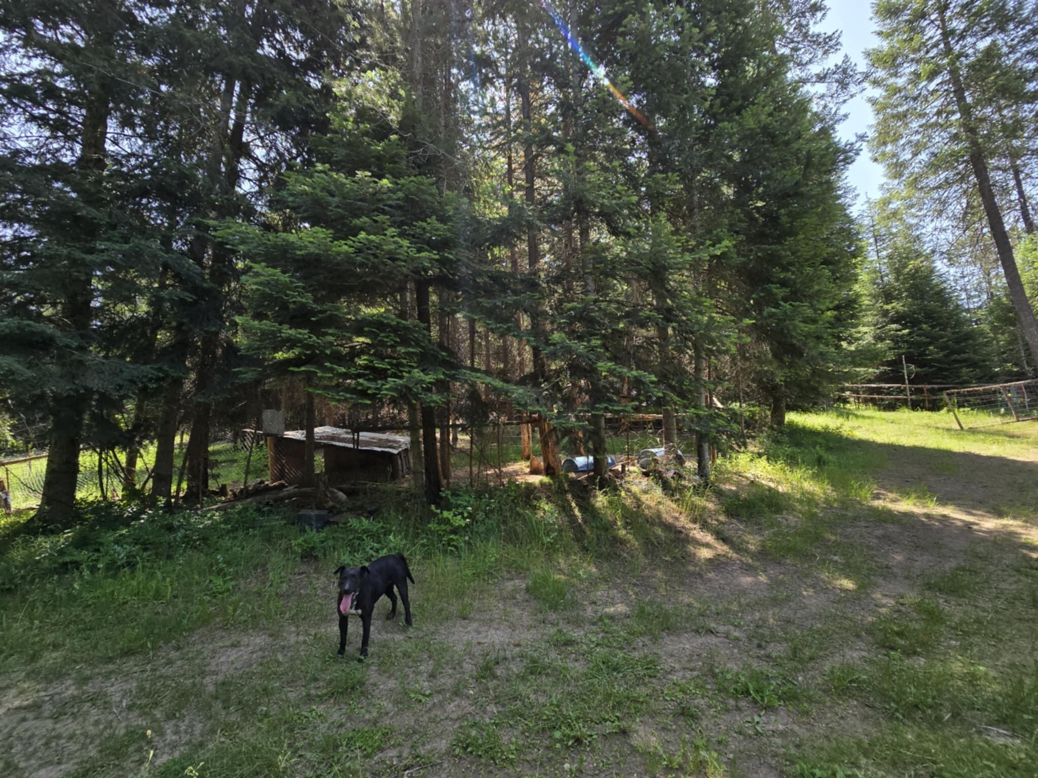 
                        Property photograph at
                        4886 GETNA WAY
                      