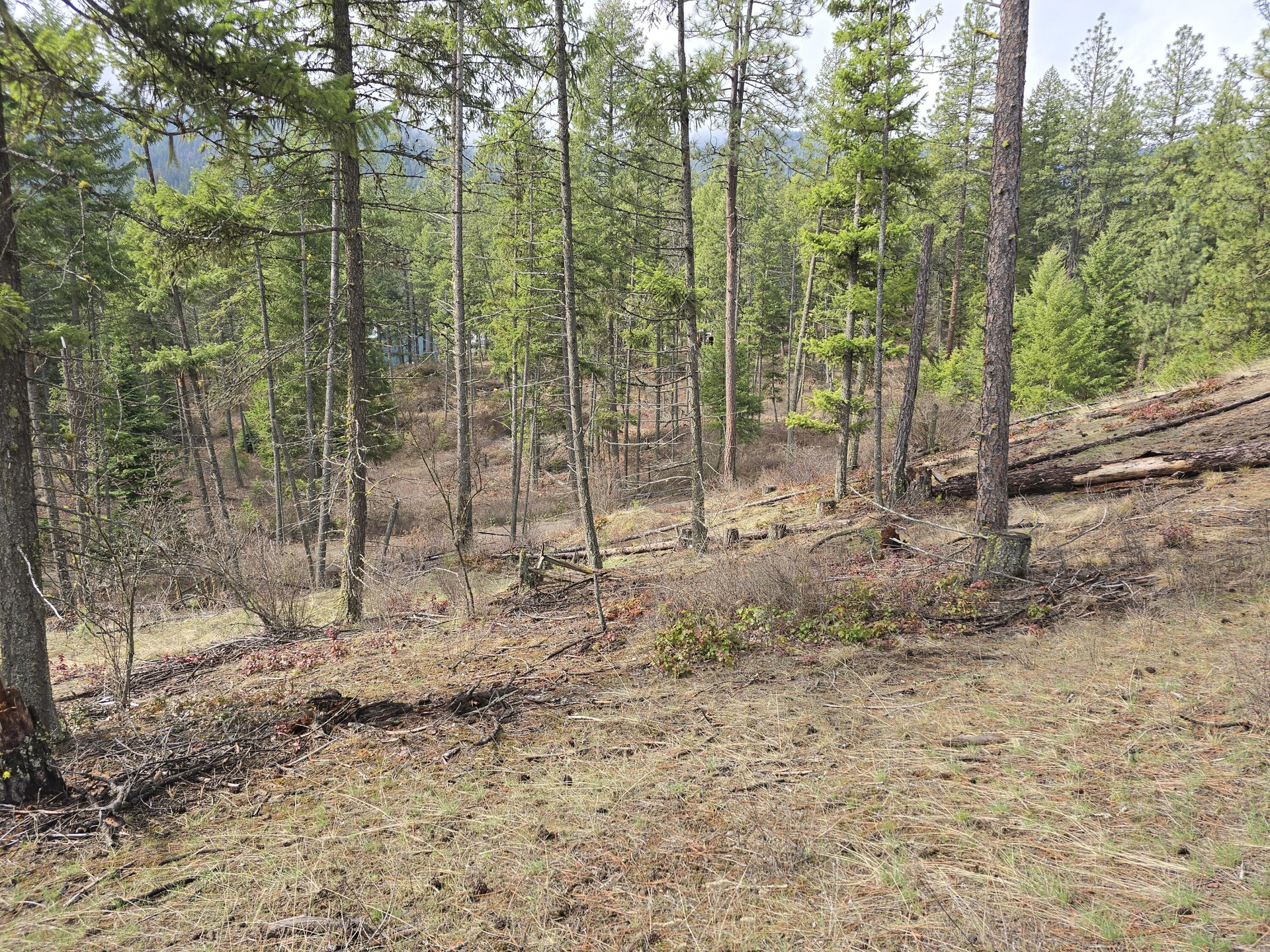 
                        Property photograph at
                        3XX GOLD CREEK RD
                      