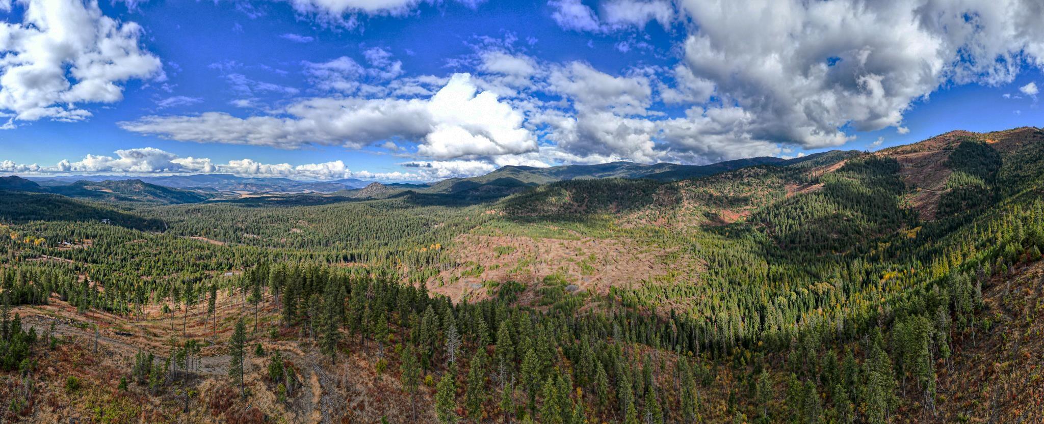 
                        Property photograph at
                        4684 GROUSE CREEK RD
                      