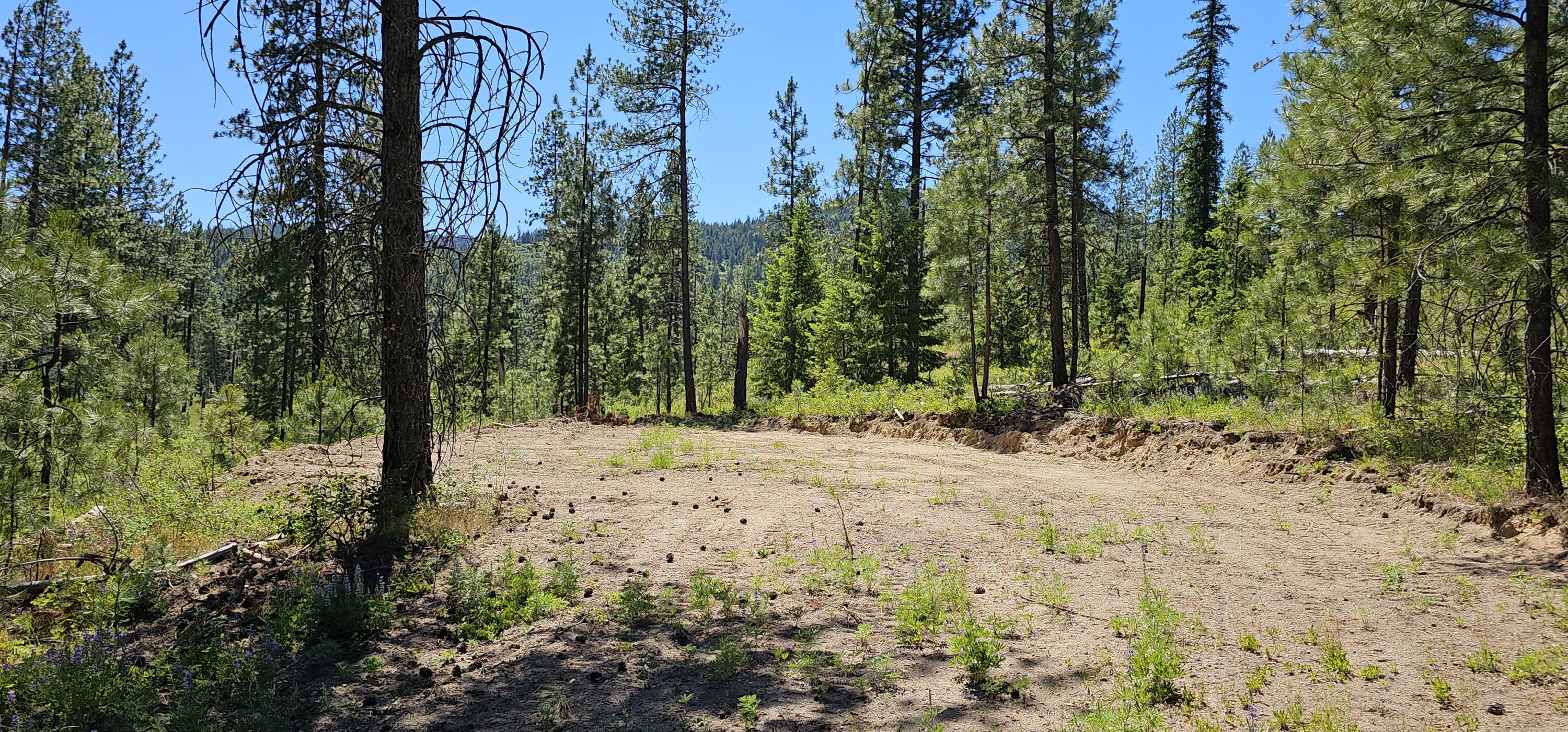 
                        Property photograph at
                        20X LYNX CREEK RD
                      