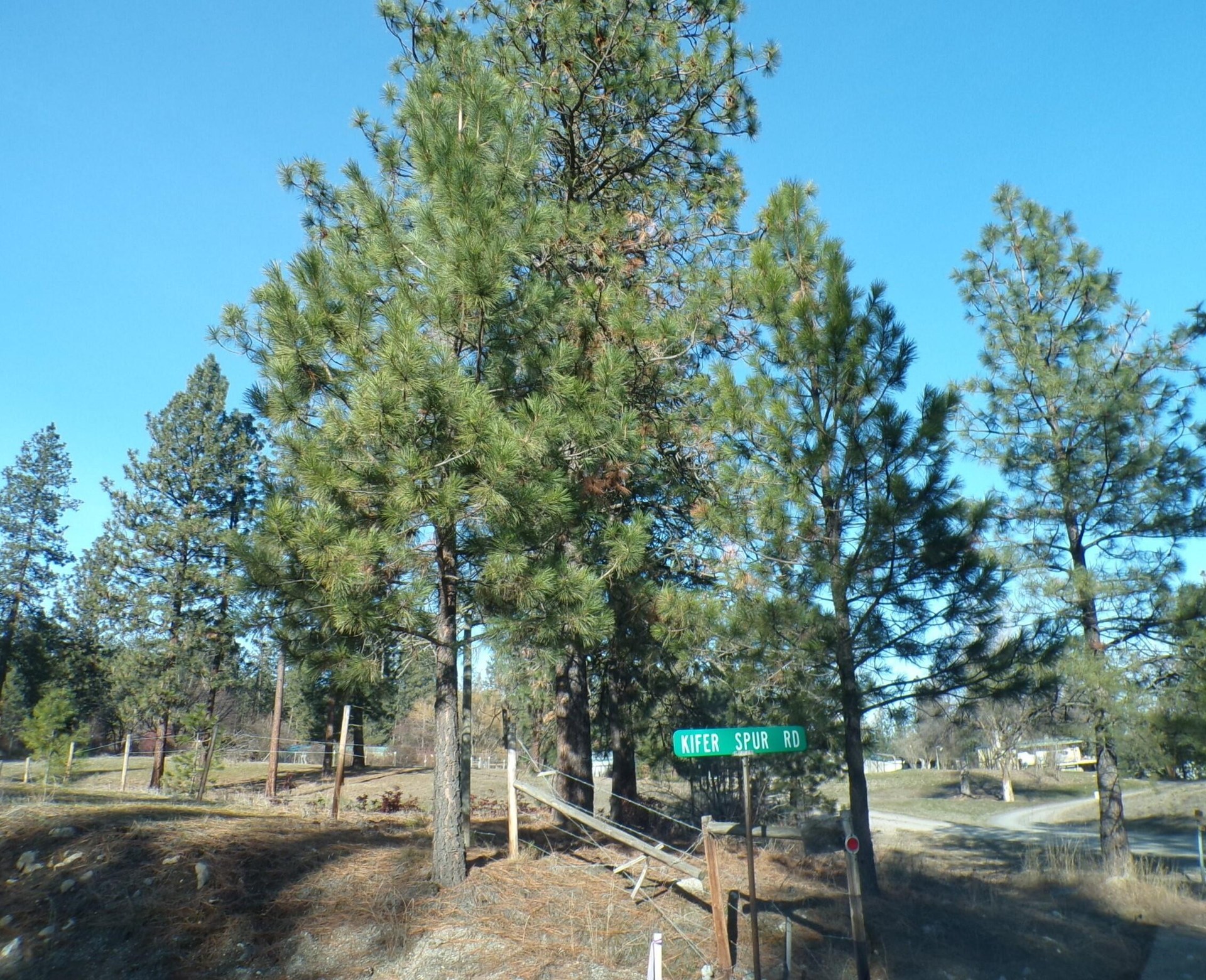 
                        Property photograph
                      