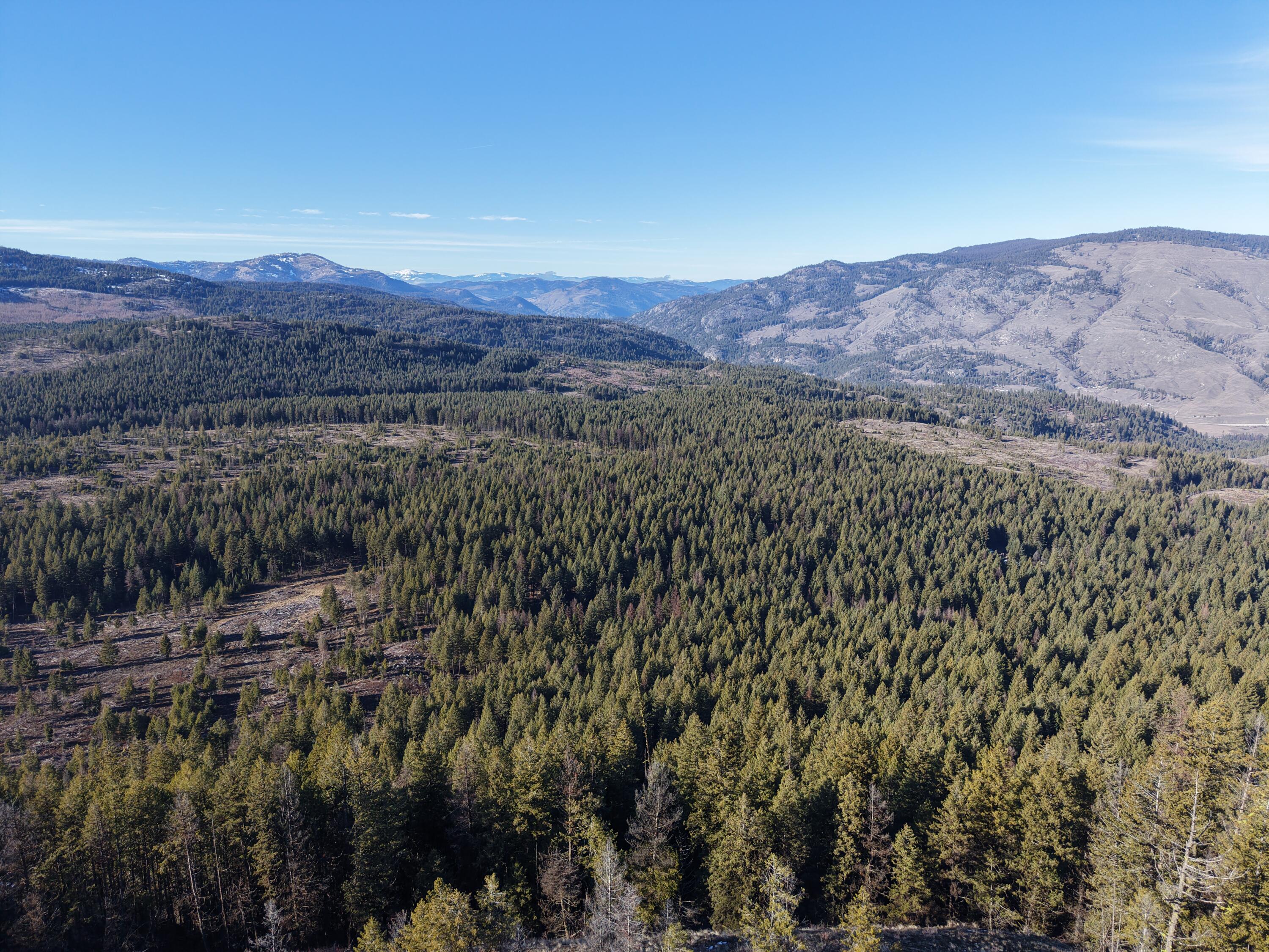 
                        Property photograph at
                        TBD LUNDIMO MEADOW RD
                      
