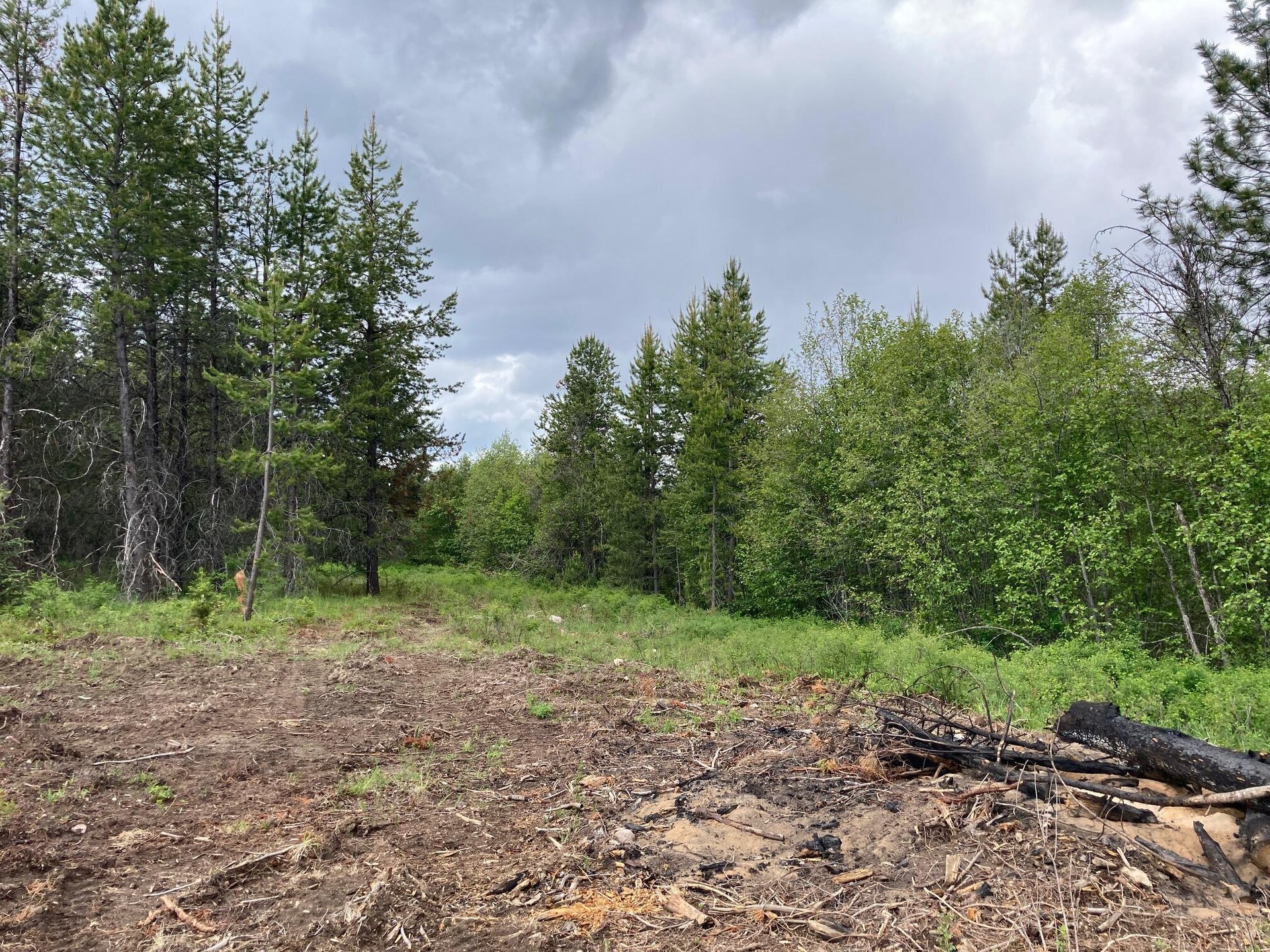 
                        Property photograph at
                        1496 E HWY 20 XX
                      