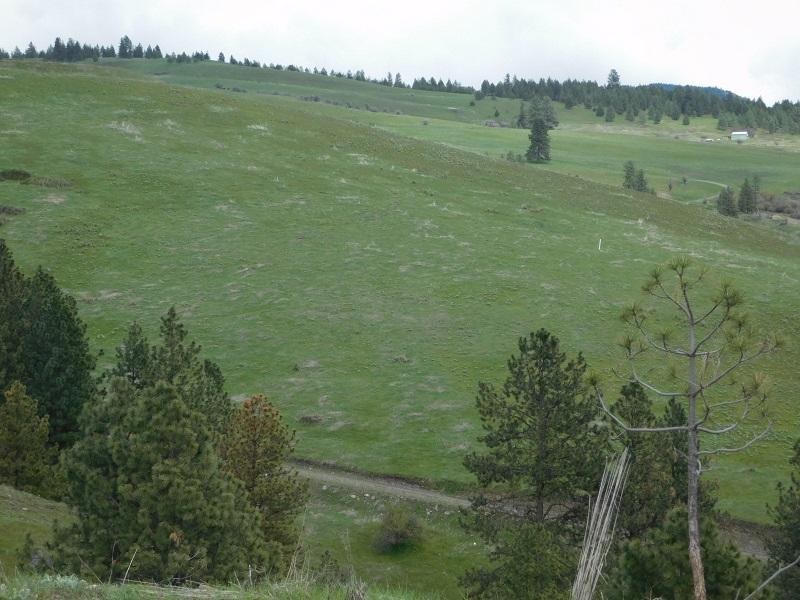 
                        Property photograph at
                        TBD SPIRIT RIDGE WAY
                      