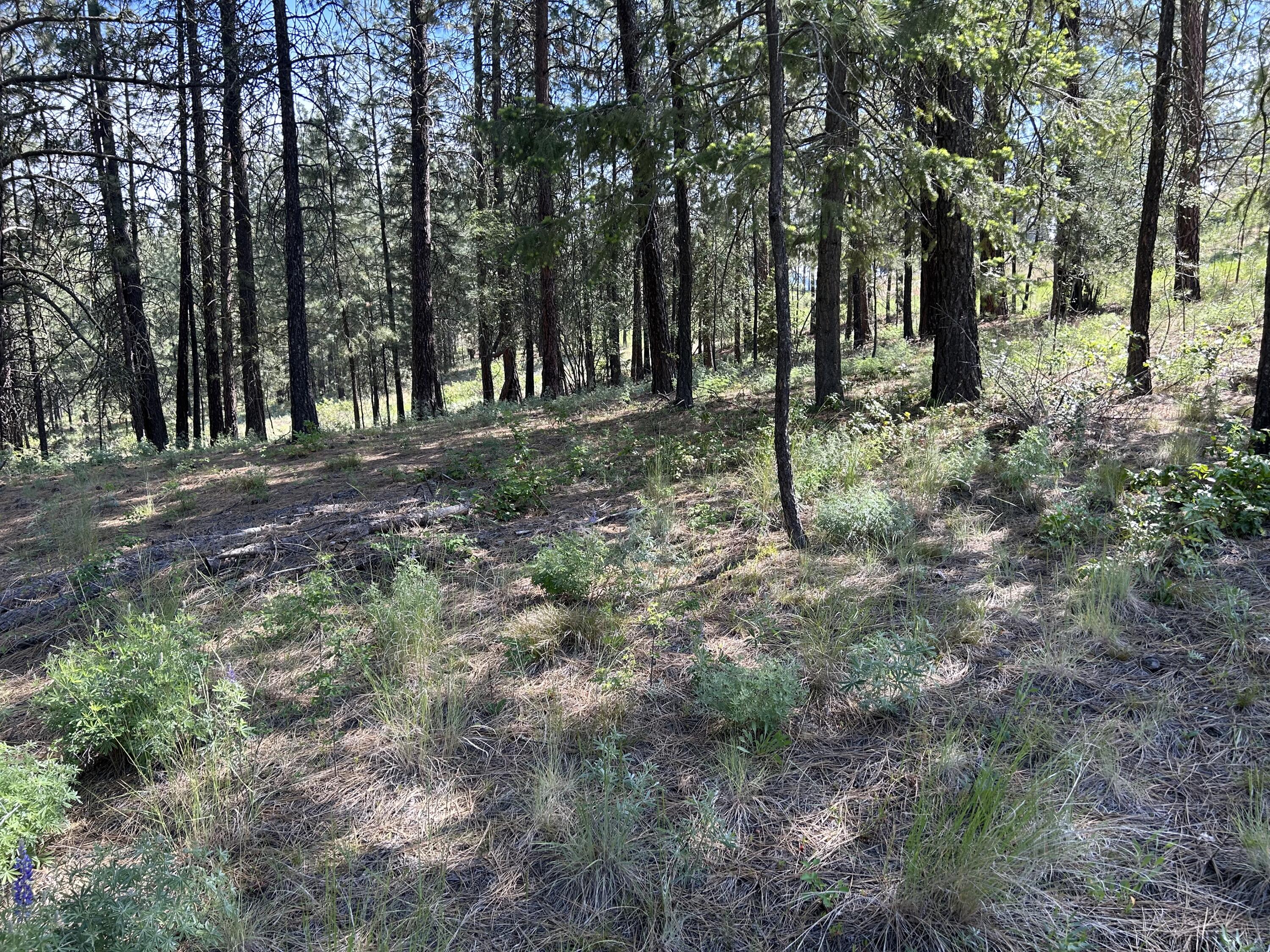 
                        Property photograph at
                        1181- 1179 FUMI CIR
                      