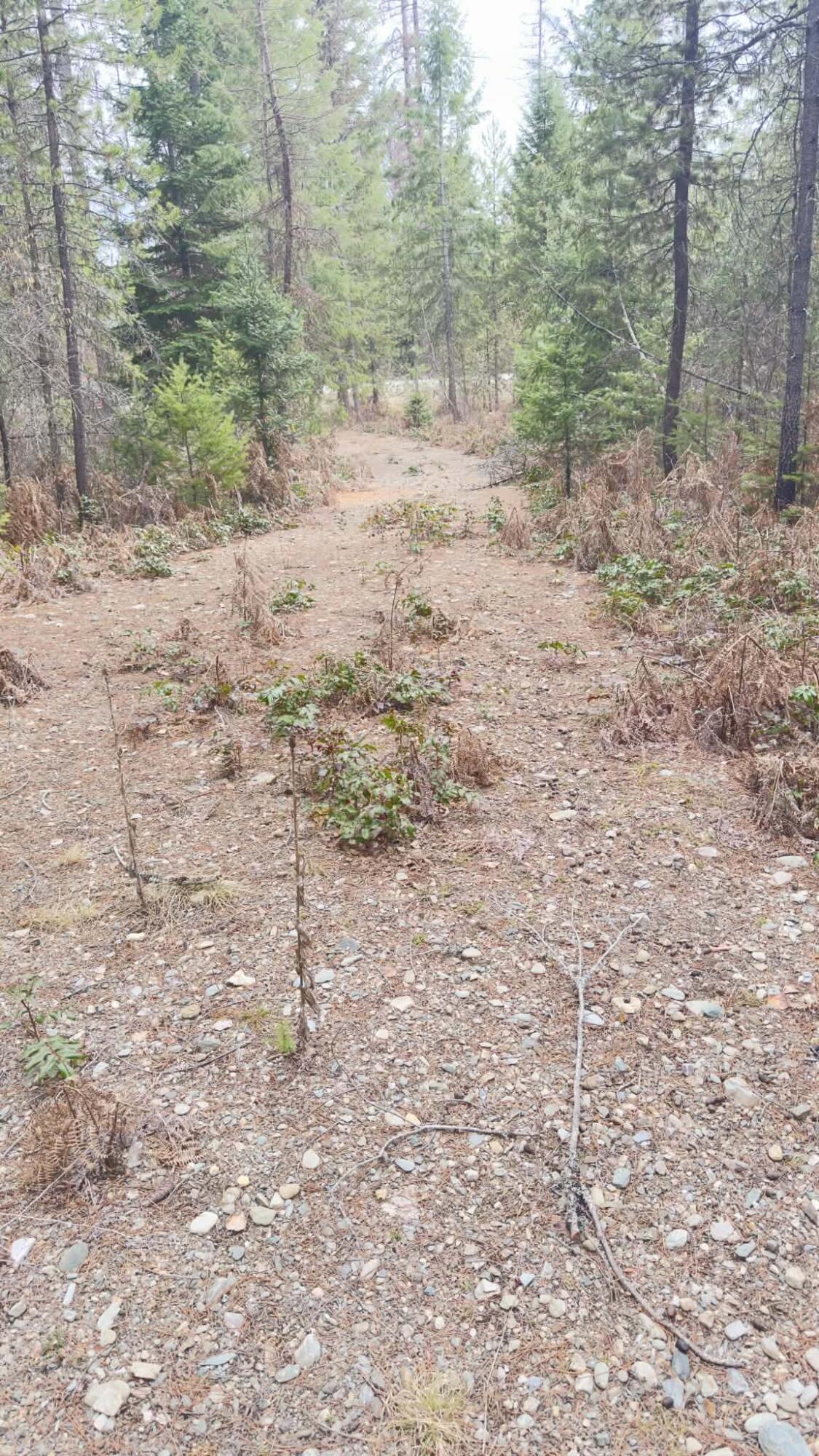 
                        Property photograph at
                        NKN WILDERNESS AVE
                      