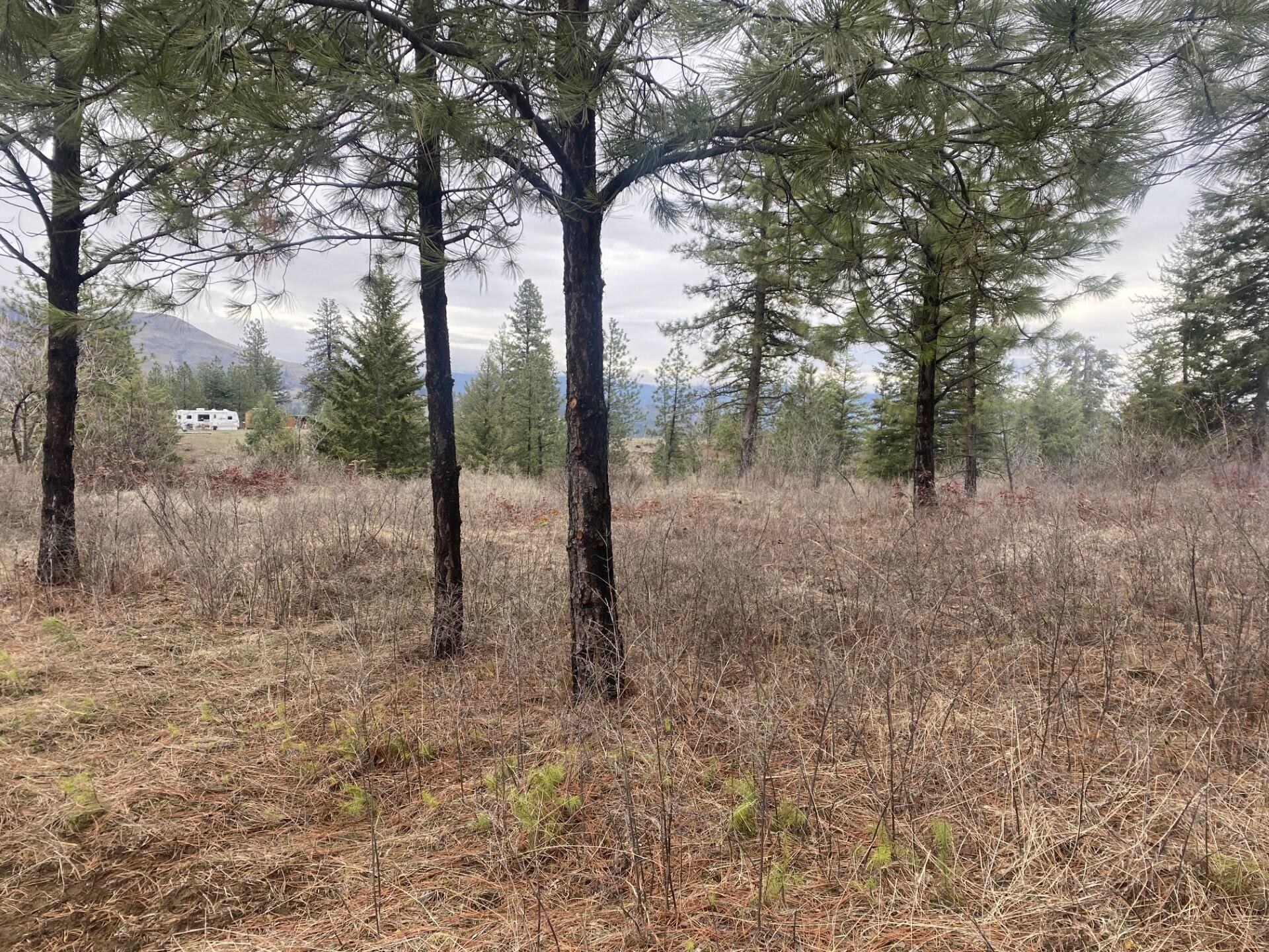 
                        Property photograph at
                        TRACT 2 COWBOYS AND ANGELS AVE
                      