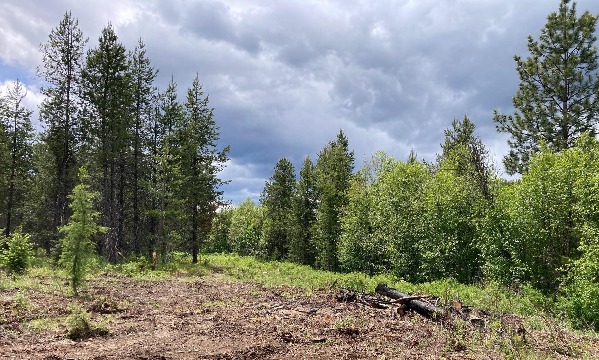 
                        Property photograph at
                        1496 E HWY 20 XX
                      