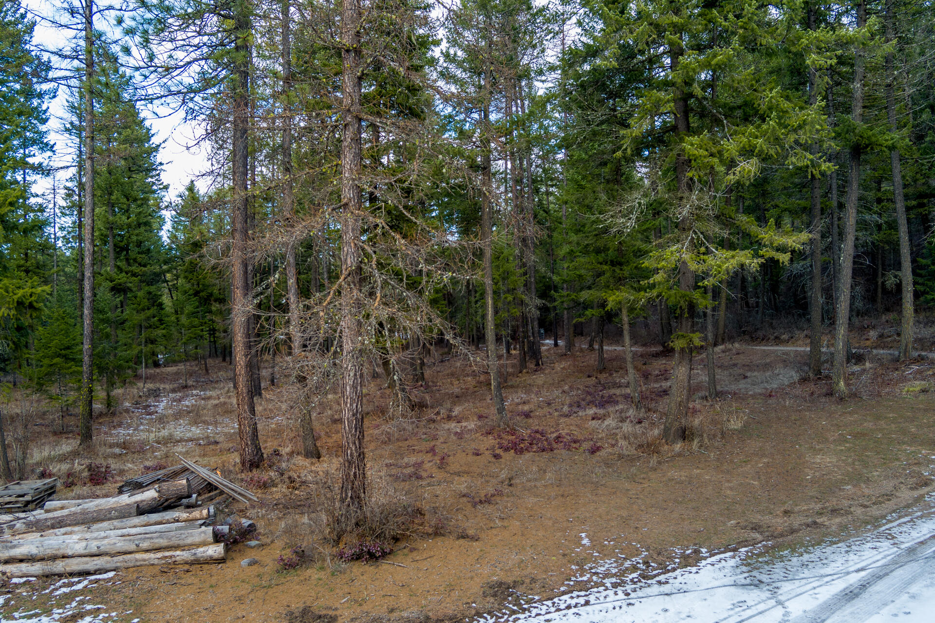 
                        Property photograph at
                        2559 UNITED COPPER MINE RD
                      