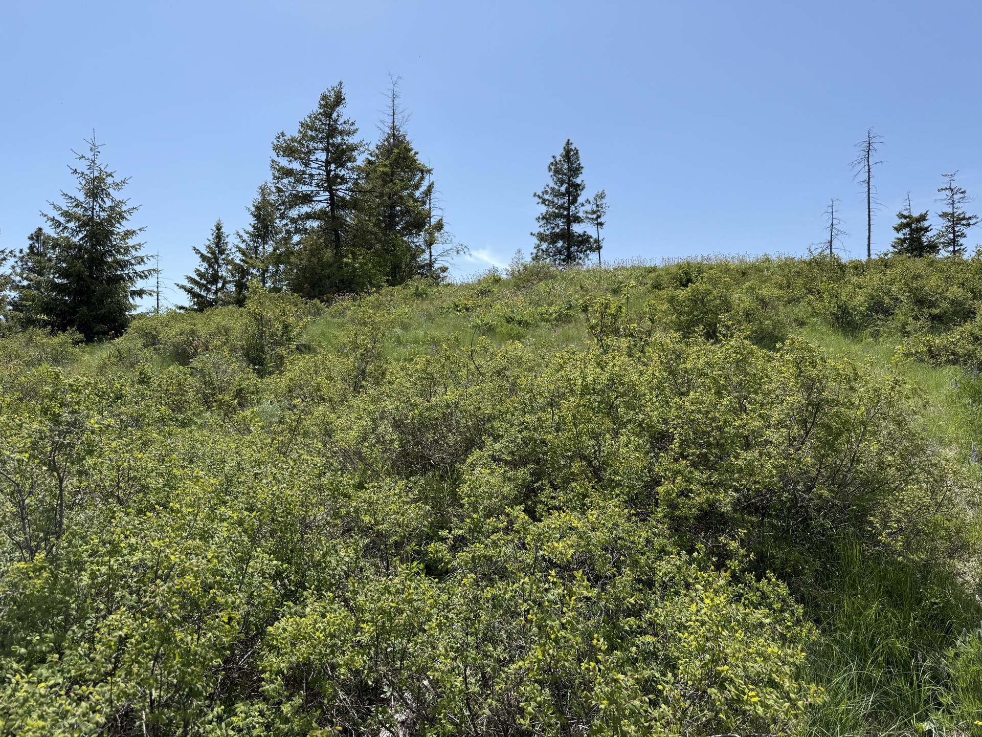 
                        Property photograph at
                        3774-C DAISY MINE RD
                      