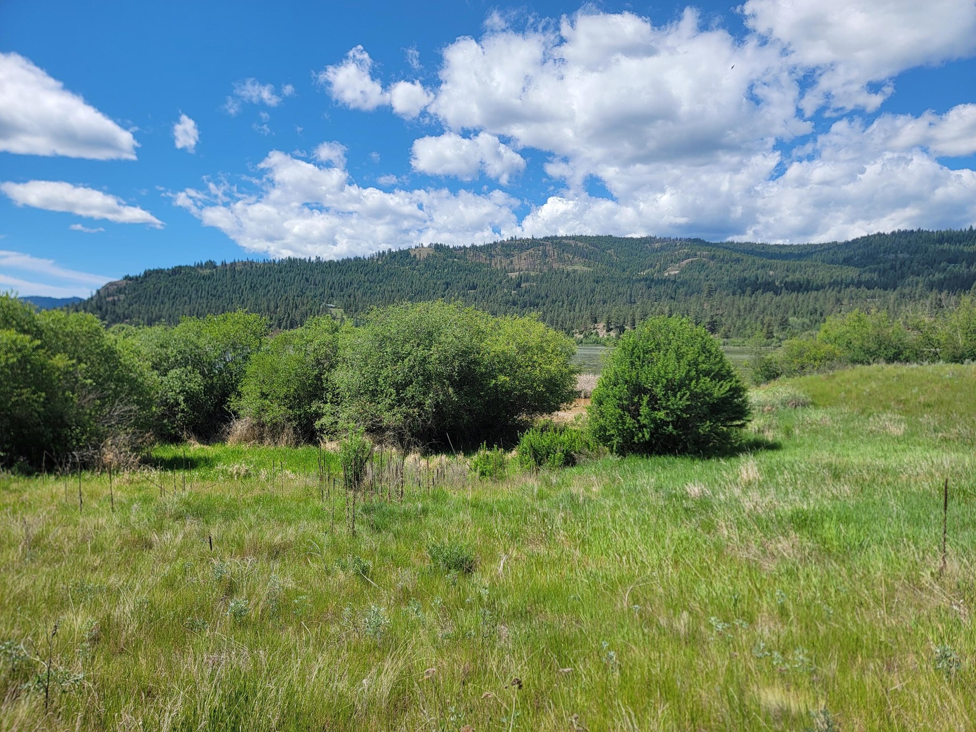 
                        Property photograph at
                        TBD CURLEW DR
                      