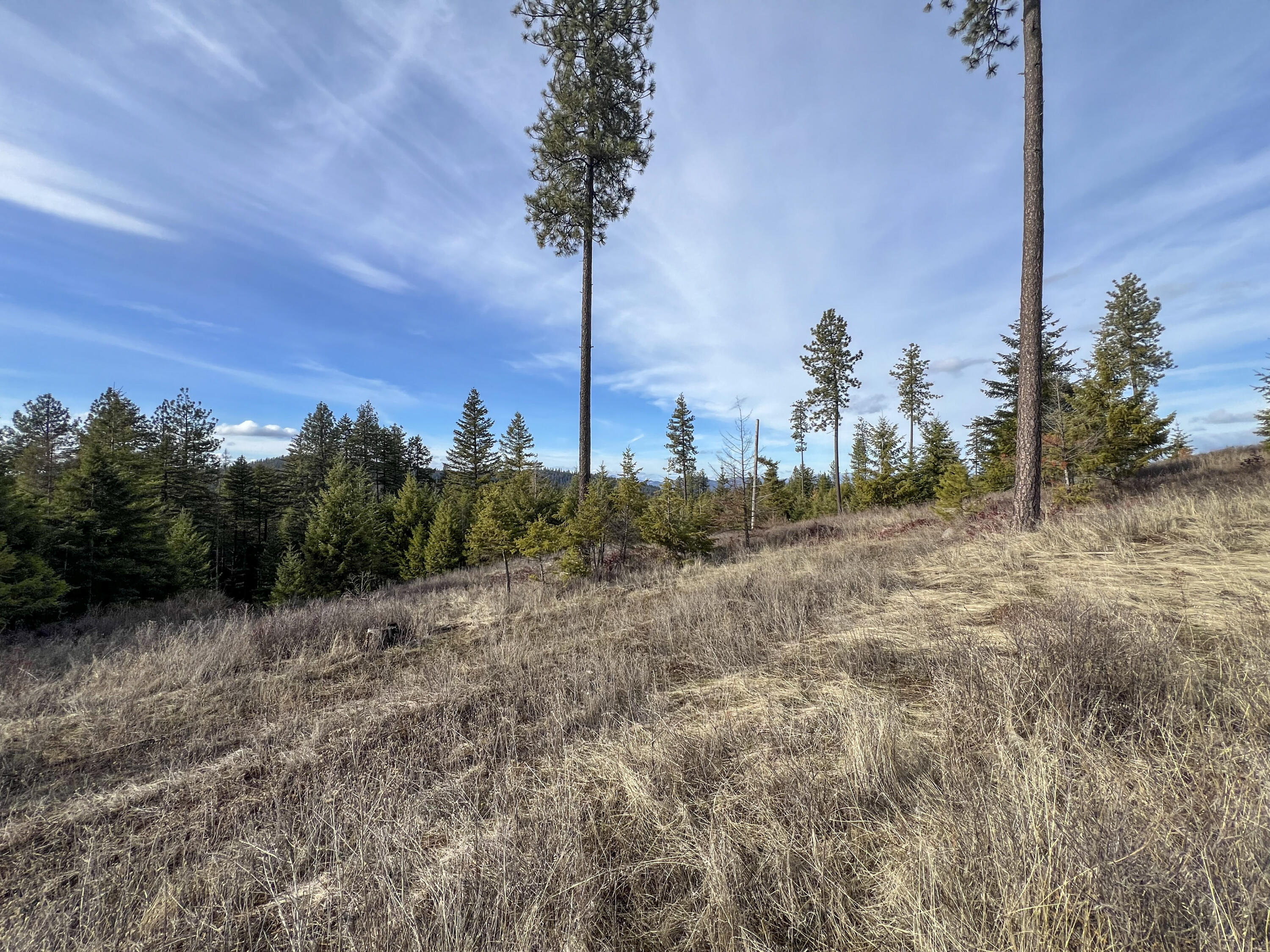 
                        Property photograph at
                        35XX HARMS WAY
                      