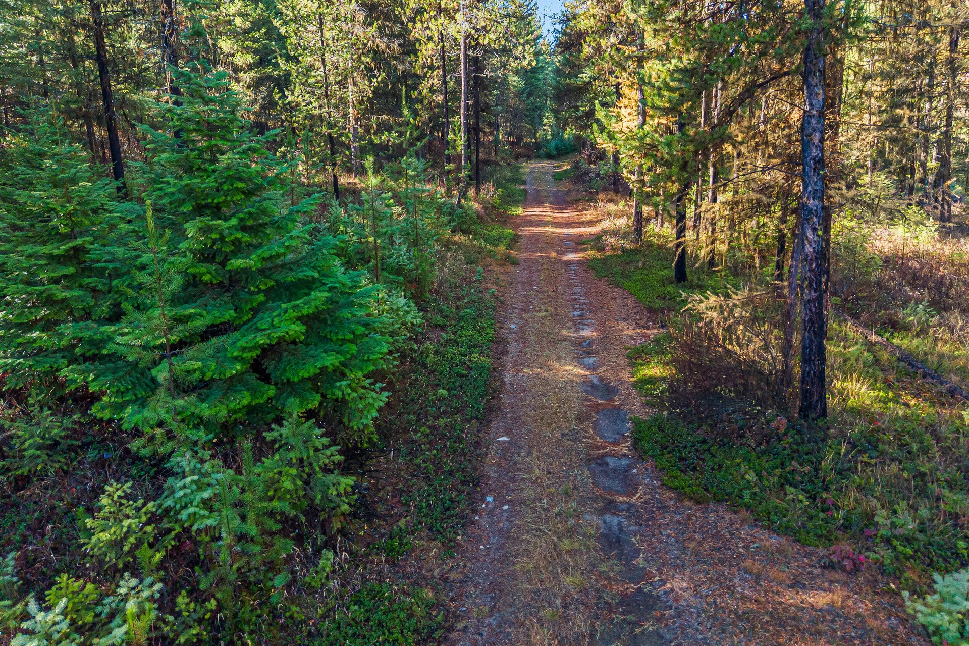 
                        Property photograph at
                        2094 CLUGSTON ONION CREEK RD
                      