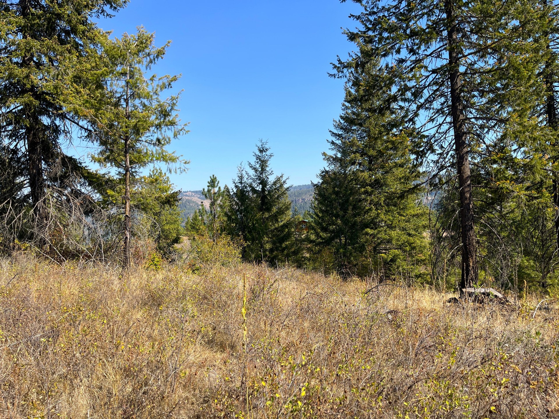 
                        Property photograph at
                        TRACT 2 COWBOYS AND ANGELS AVE
                      
