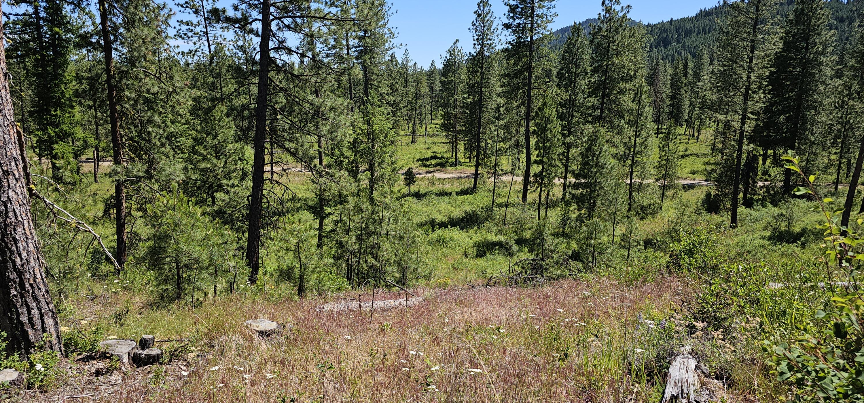 
                        Property photograph at
                        20X LYNX CREEK RD
                      