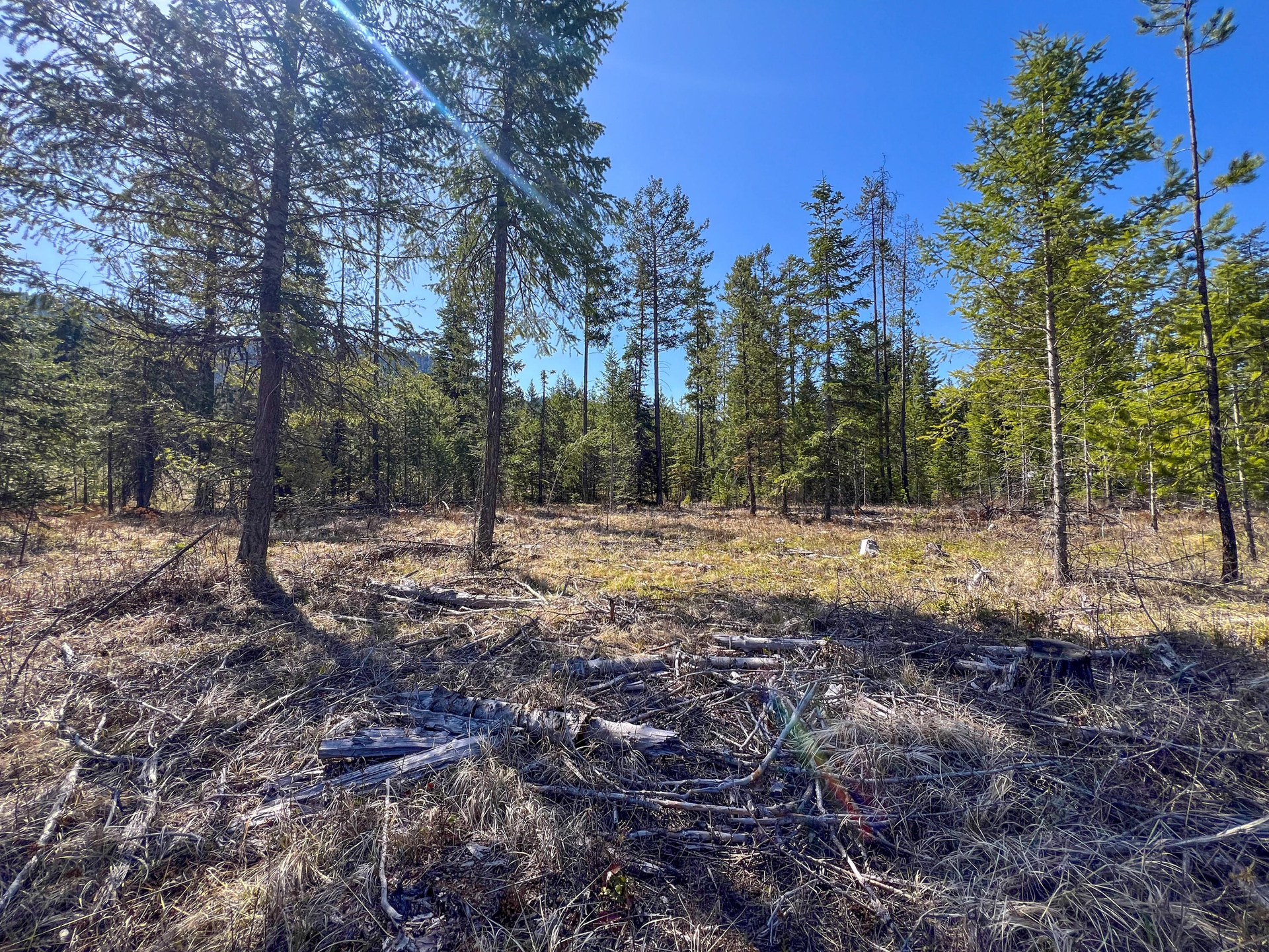 
                        Property photograph at
                        26XX FLOWERY TRAIL RD
                      