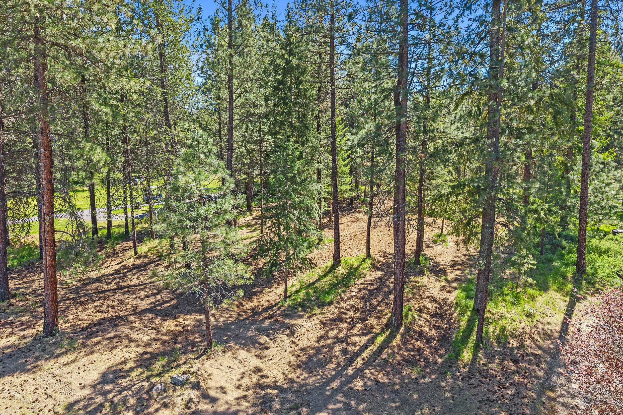 
                        Property photograph at
                        XXX COUPLES PL LOT 24
                      