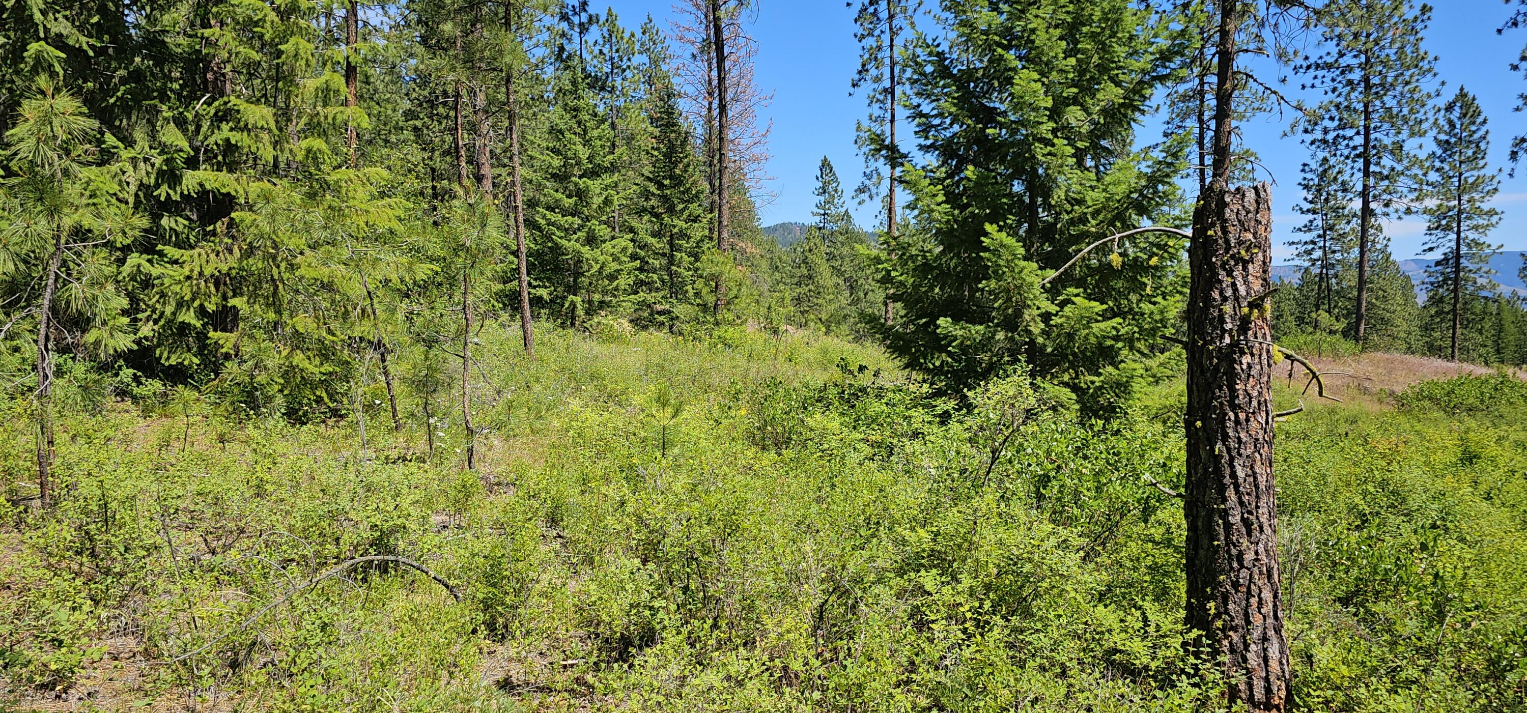 
                        Property photograph at
                        20X LYNX CREEK RD
                      