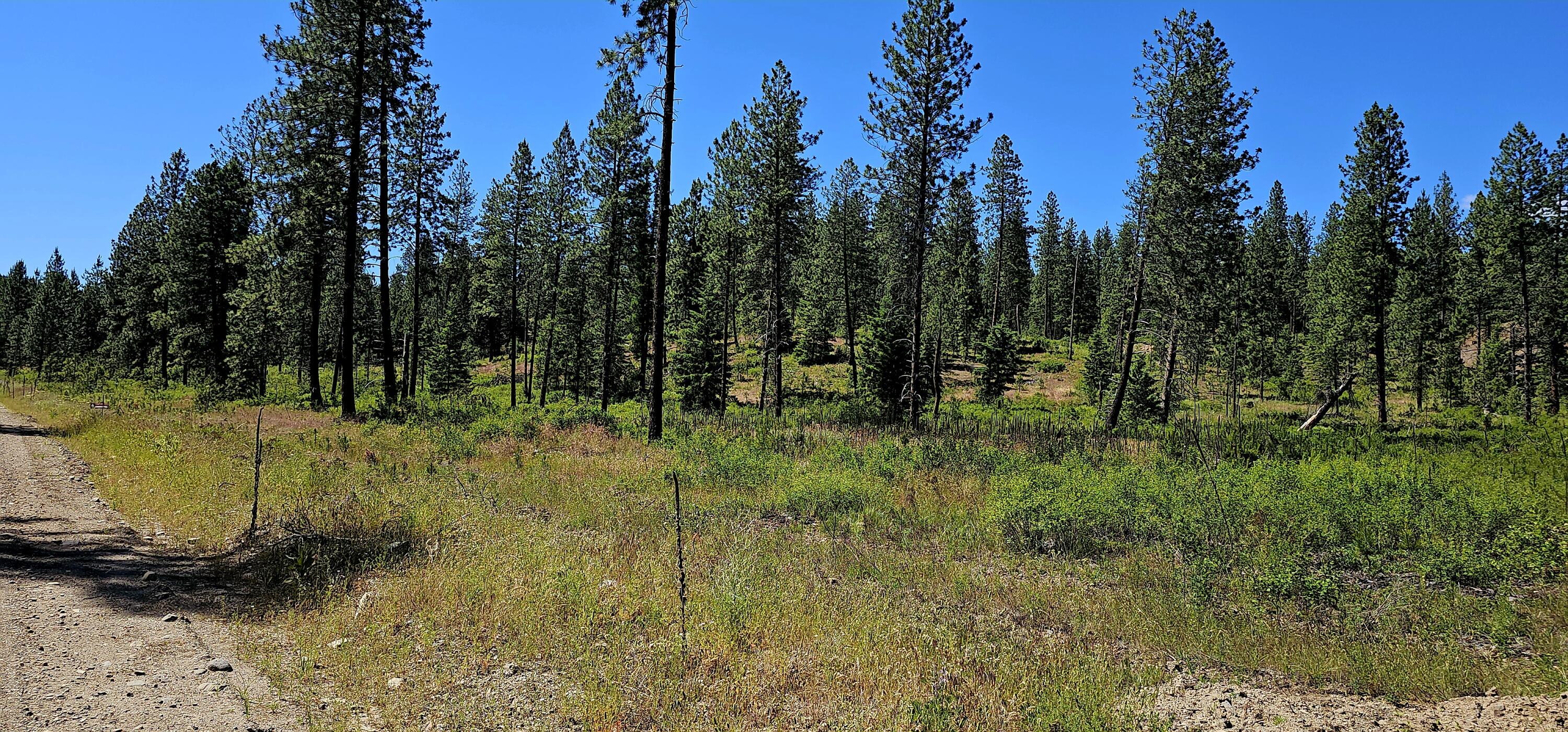 
                        Property photograph at
                        20X LYNX CREEK RD
                      