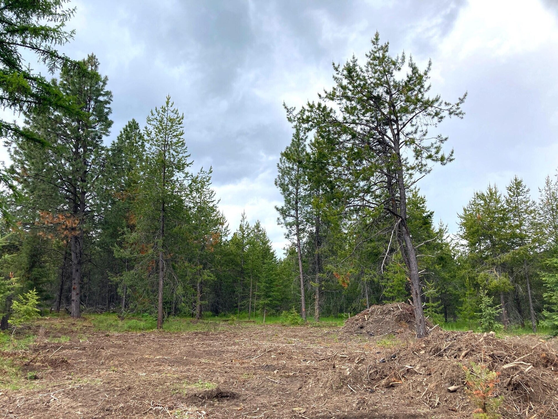
                        Property photograph at
                        1496 E HWY 20 XX
                      