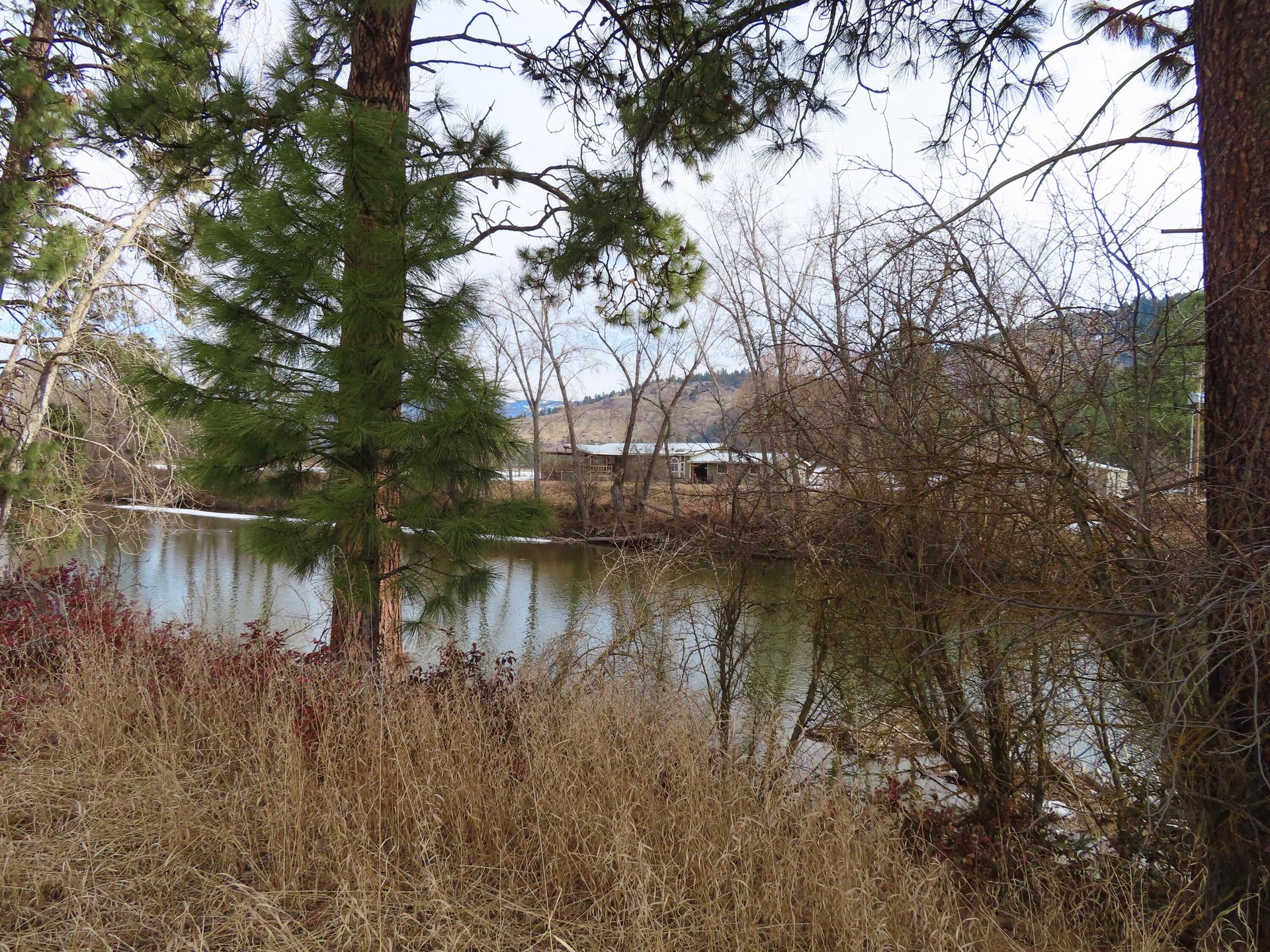 
                        Property photograph at
                        TBD HIGHWAY 21 N
                      