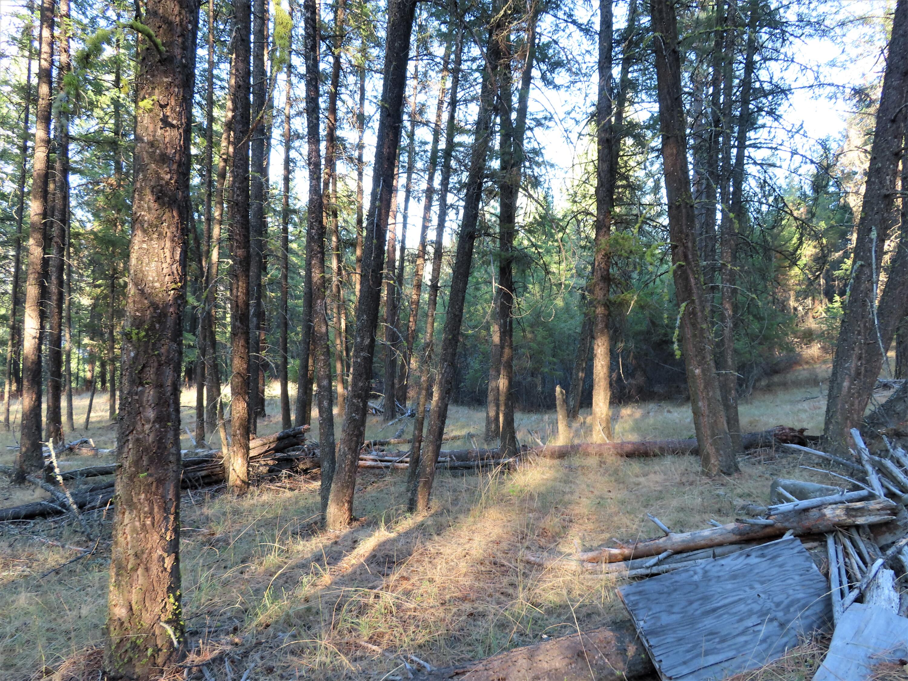 
                        Property photograph at
                        TBD TORODA CREEK RD
                      