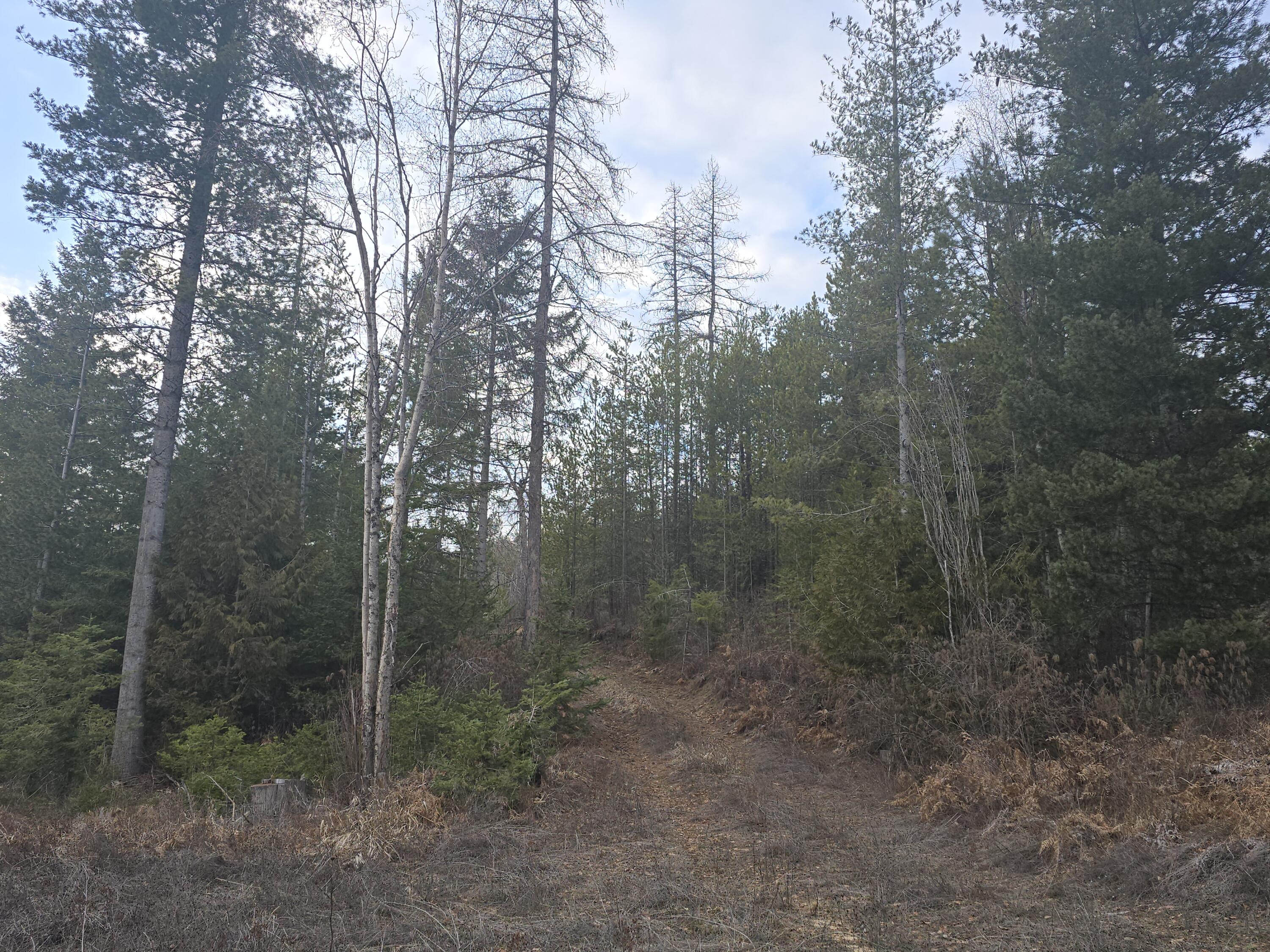 
                        Property photograph at
                        1114 N STOHR RD
                      