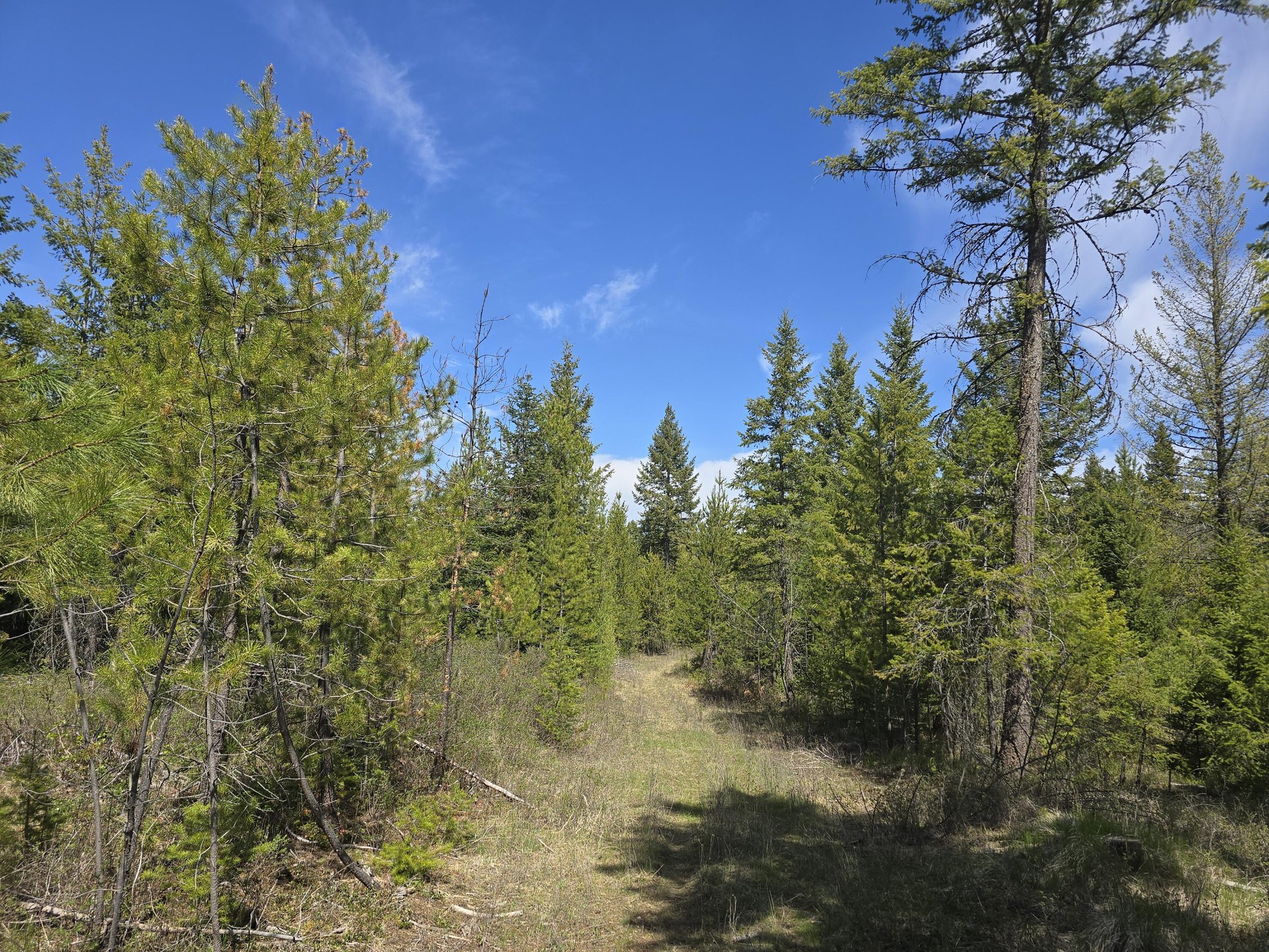 
                        Property photograph at
                        XXX W OREGON RD
                      