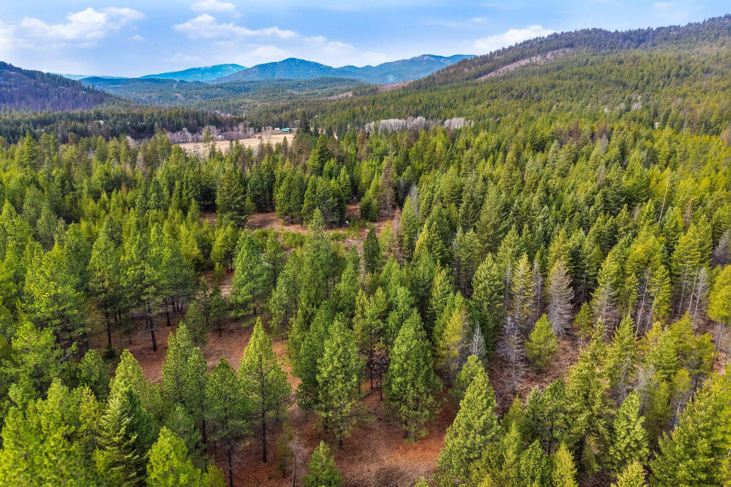 
                        Property photograph at
                        28XX BURNT VALLEY (80AC) RD
                      