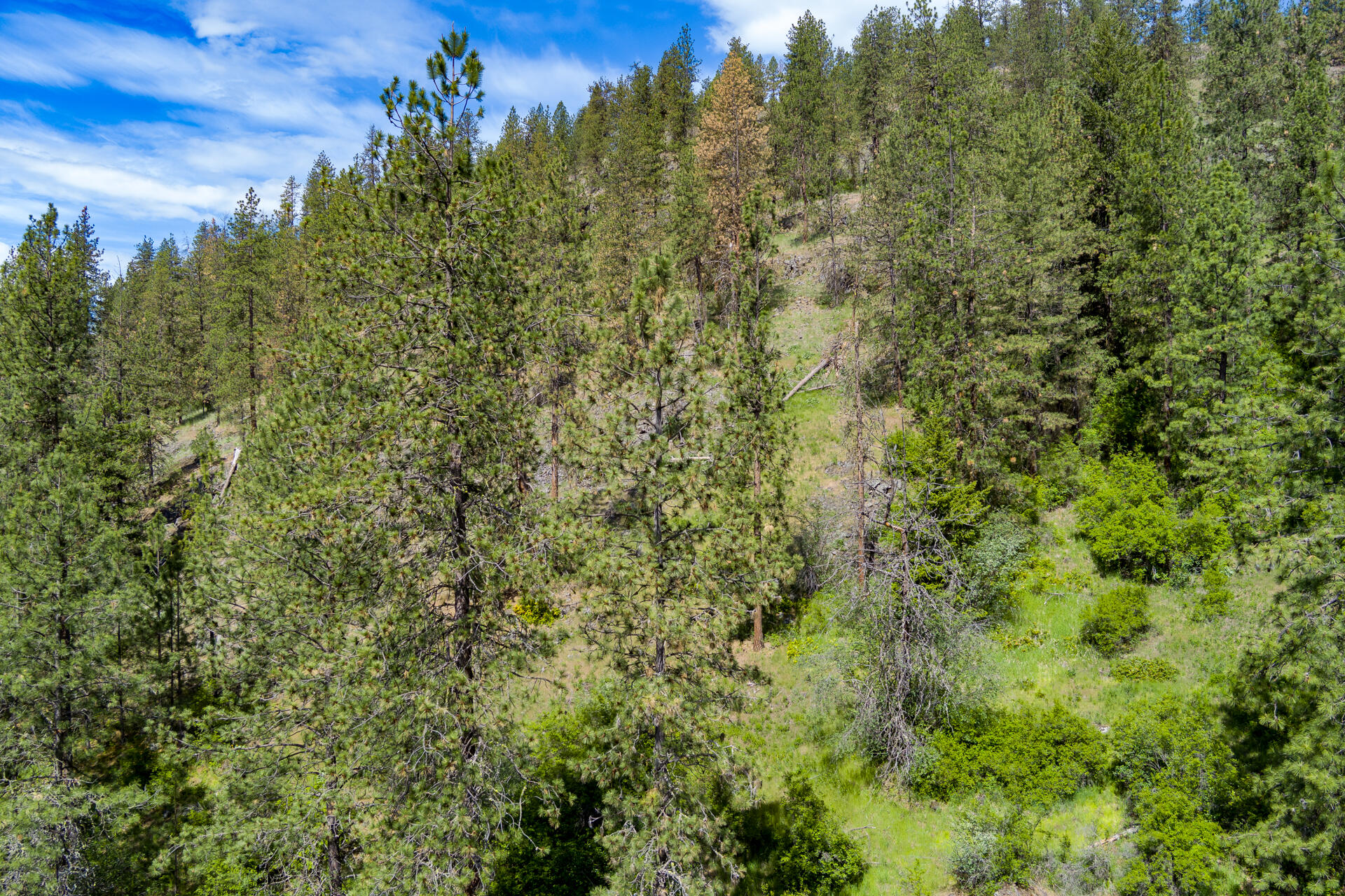 
                        Property photograph at
                        1763-I U.S. 395
                      