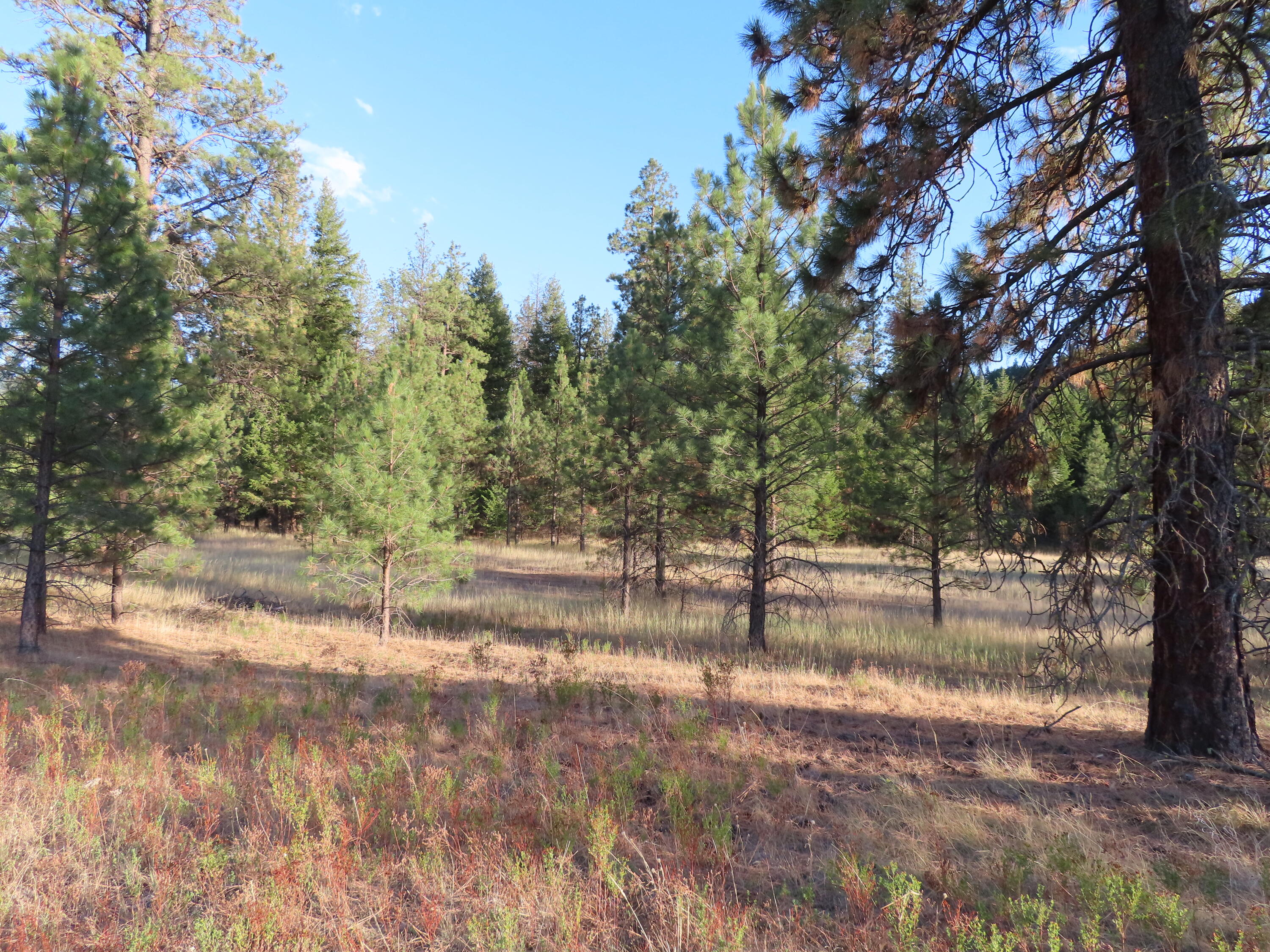 
            Exterior of
            TBD TORODA CREEK RD
          