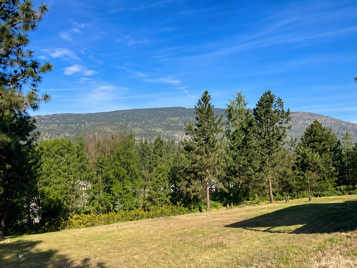 
                        Property photograph at
                        1420 SHERMAN VIEW WAY
                      