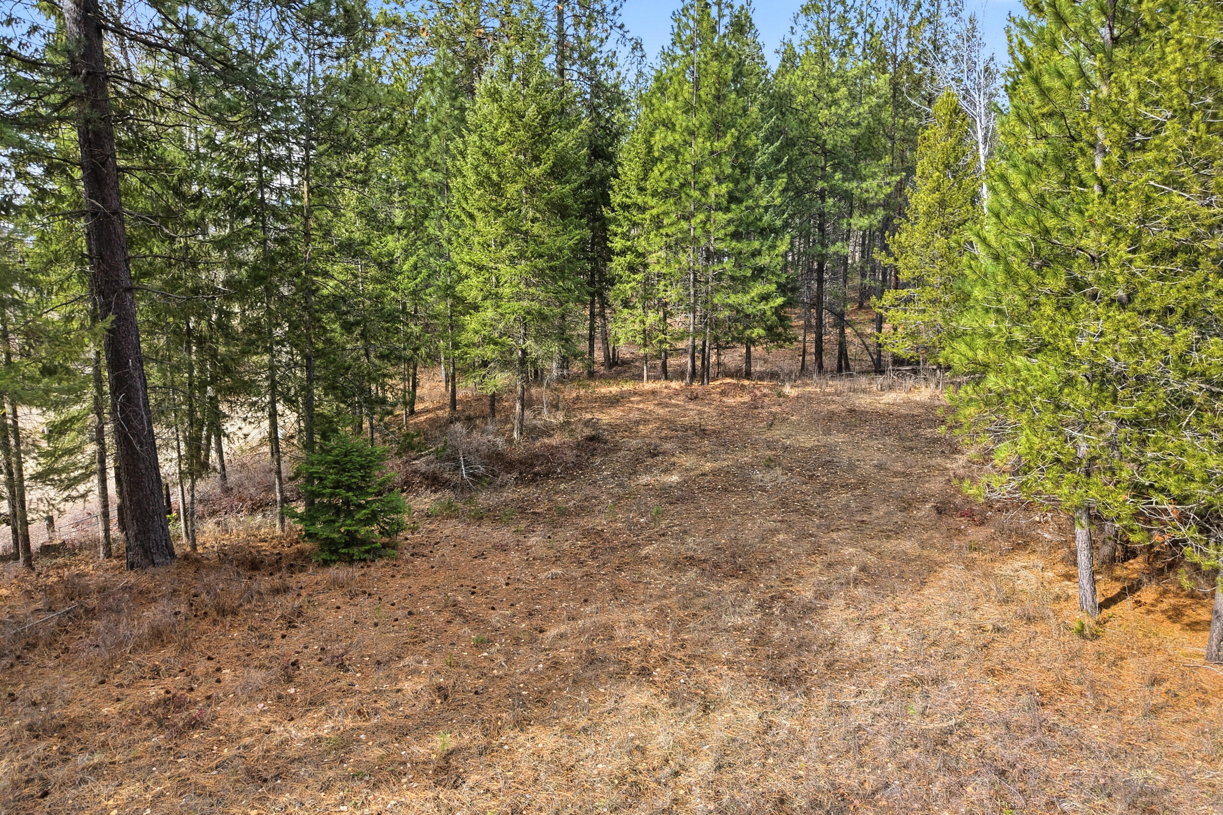 
                        Property photograph at
                        2845 BURNT VALLEY (18.5AC) RD
                      